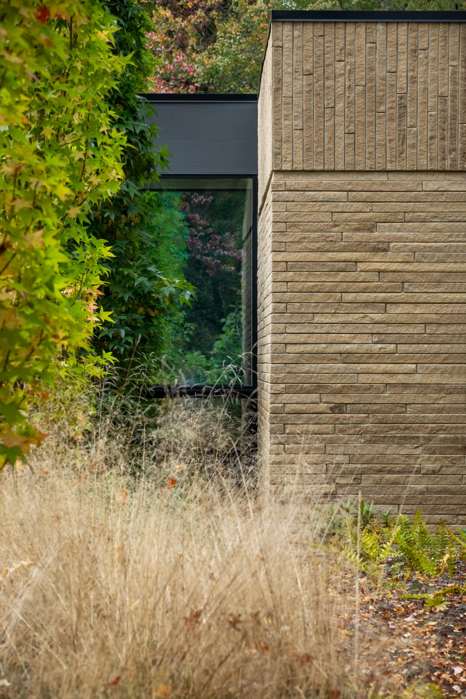 Close-up view of a building corner with beige brick wall and a large window, surrounded by green foliage, dry grass, and small plants in a landscaped outdoor setting.
