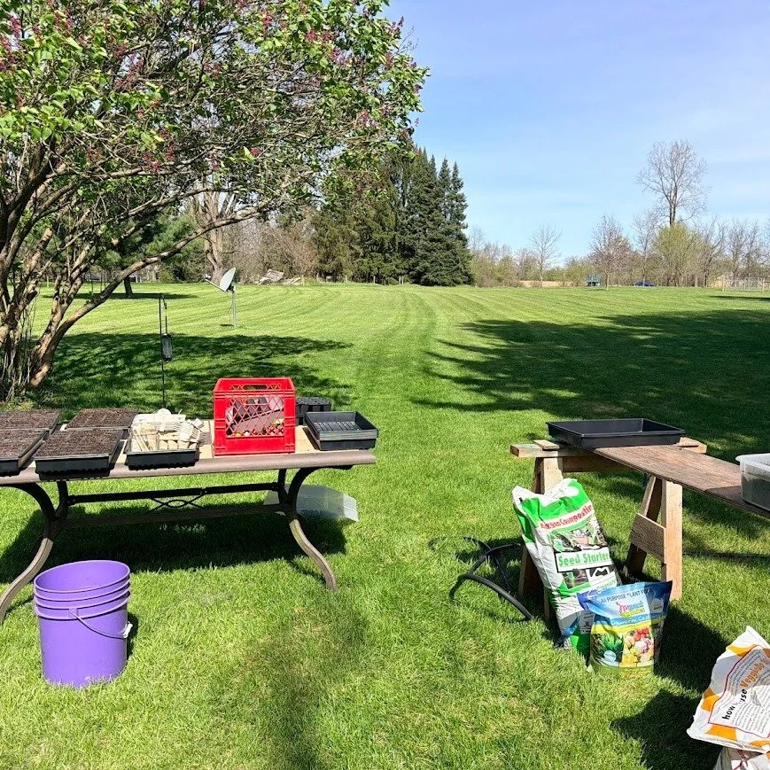 It begins&hellip;

Seeds, soil, and a whole lot of hope.

This garden is still in its early stages, but it&rsquo;s part of a bigger vision: growing food, growing knowledge, and growing connection.

More to come 🌱