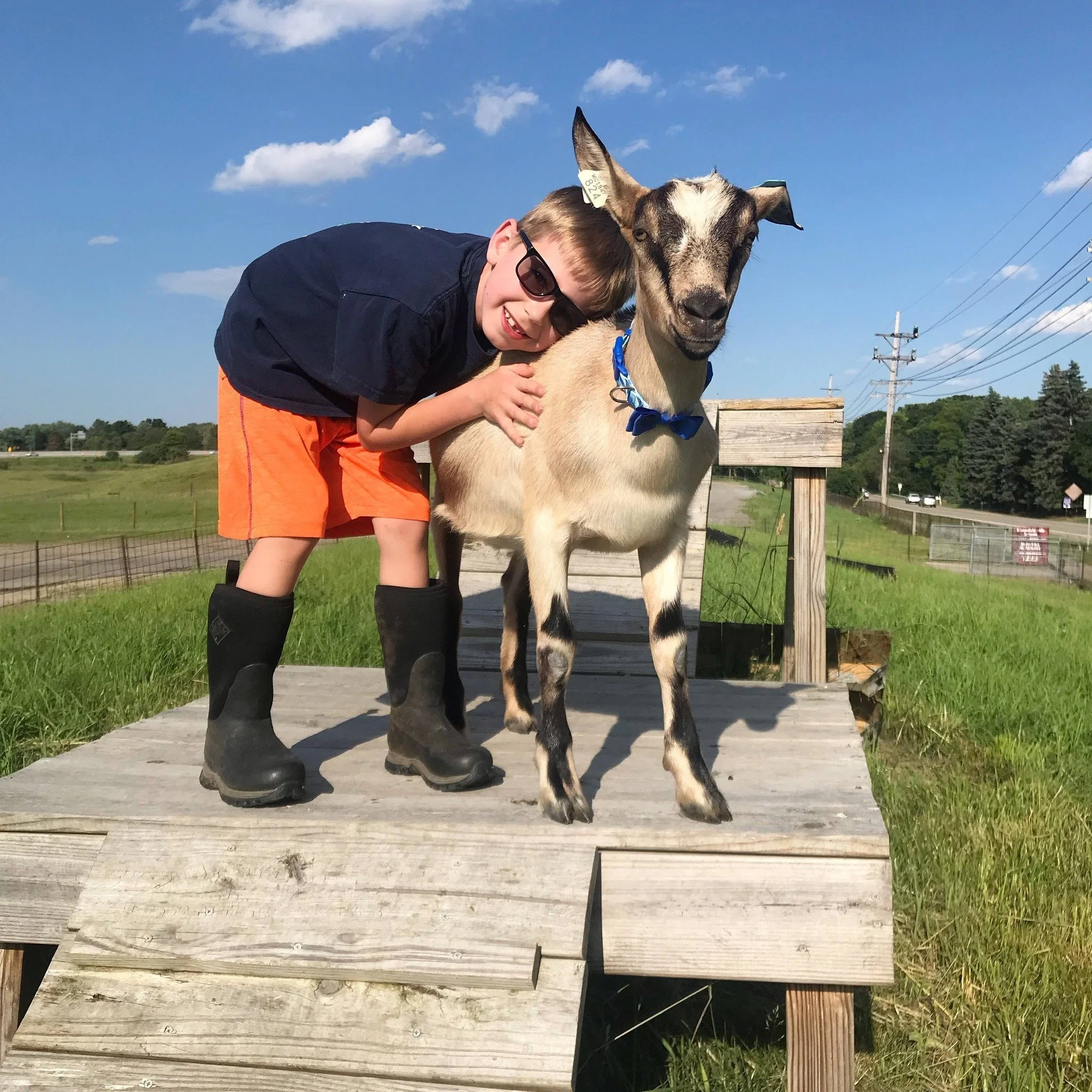 Some stories come full circle in the most meaningful ways. 

Dandy was Sam&rsquo;s very first solo project through the Bowers School Farm 4-H program back in 2019.  The beginning of learning, responsibility, and a whole lot of growing up.

From there