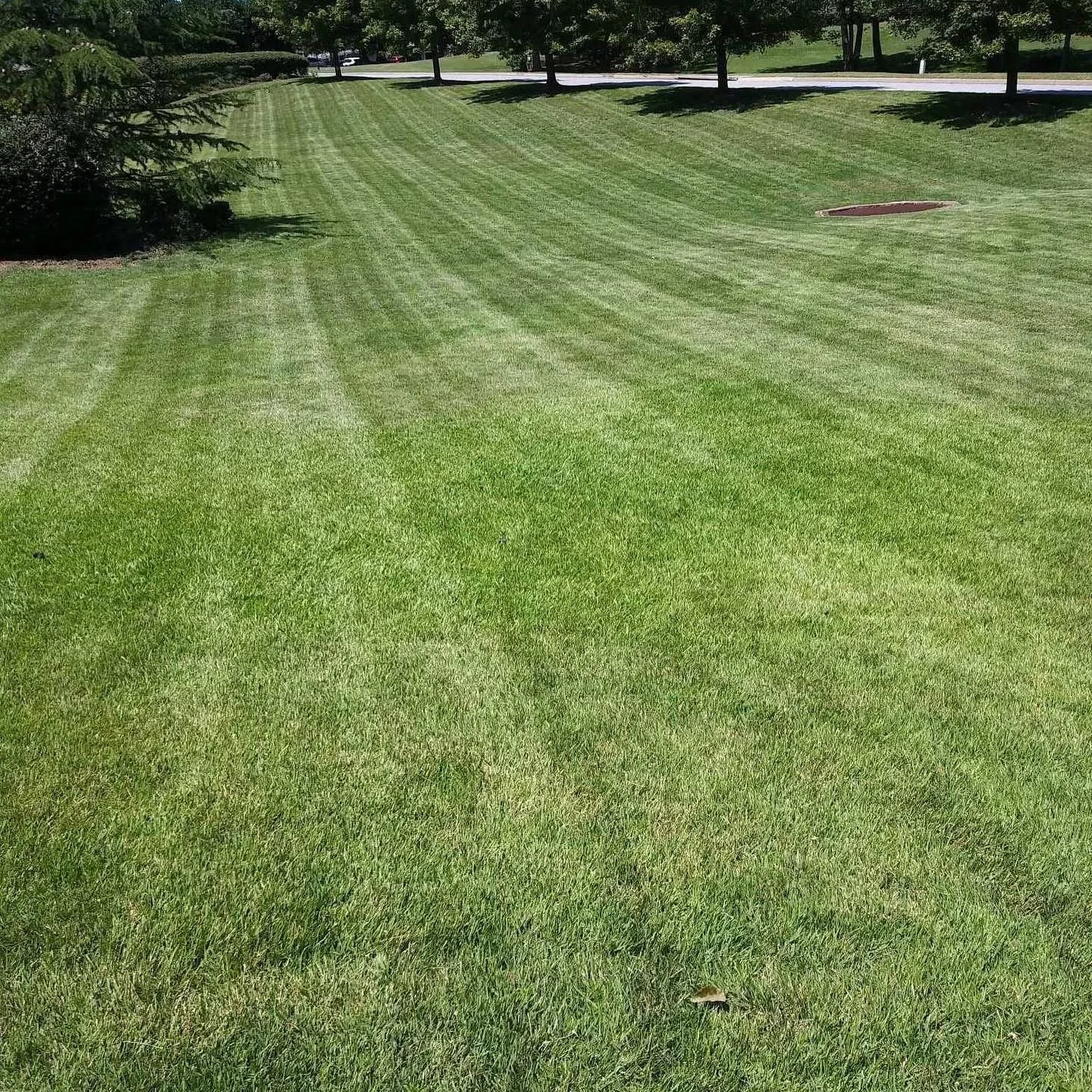 A well-maintained grassy park with freshly mowed, striped lawn, trees in the background, and a small pond or fountain on the right.