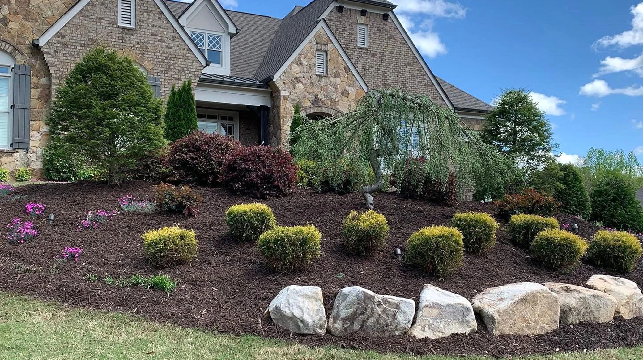 Front yard with landscaped garden, small bushes, flowering plants, a twisted tree, and a large rock border in front of a brick house with gray shutters and a blue sky.