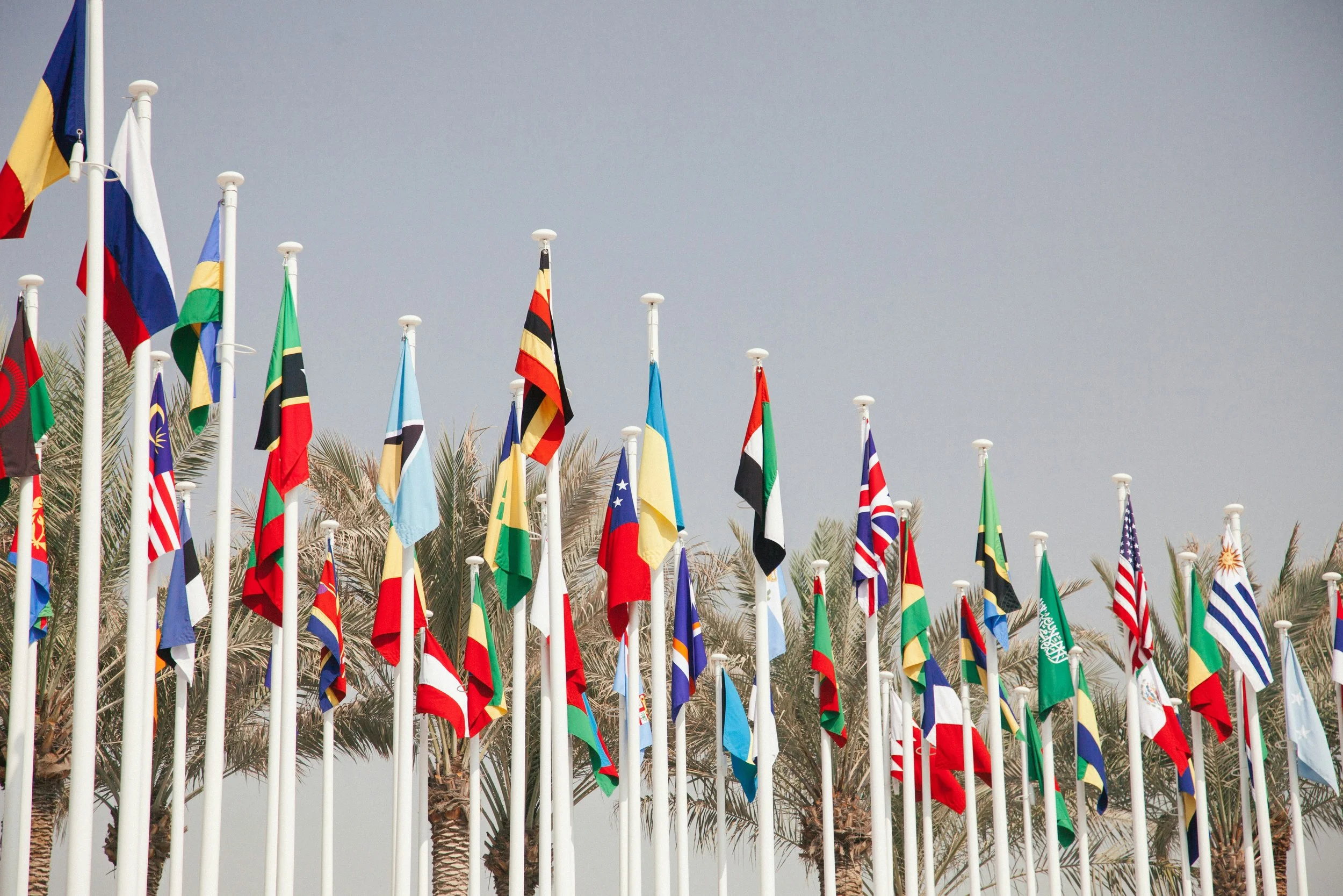 Multiple national flags on flagpoles with palm trees in the background and a cloudy sky