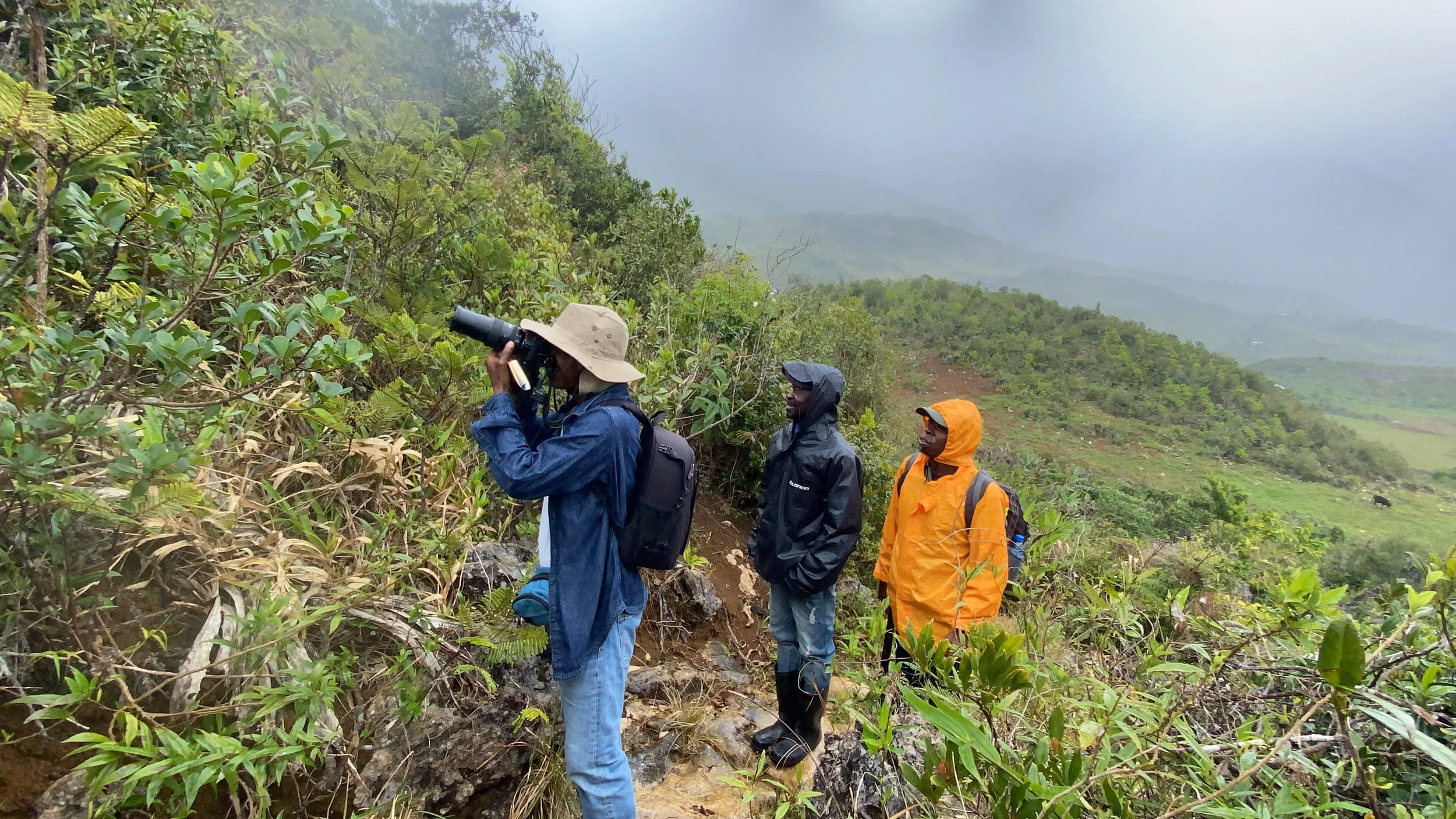 Three men in Haiti look at plants. one pointing a camera