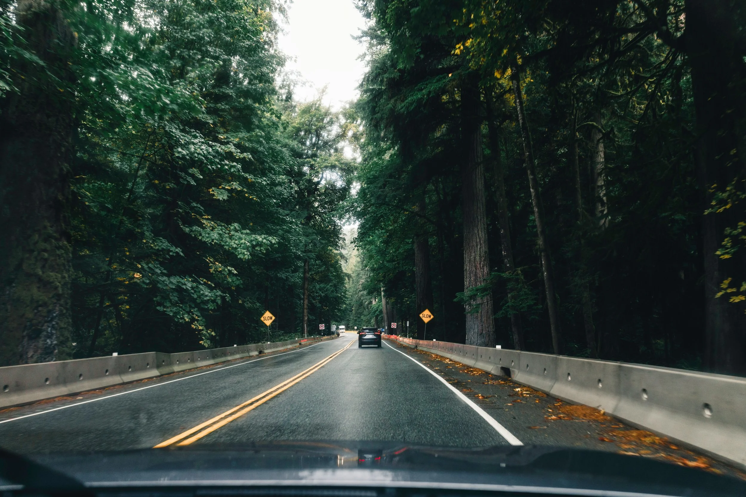 Driving through a forested road with tall trees on both sides and warning signs indicating slow speed.