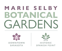 Selby botanical gardens logo