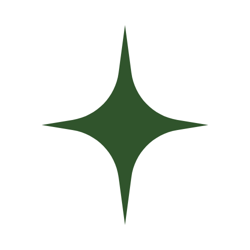 Green star-shaped icon with a dark background