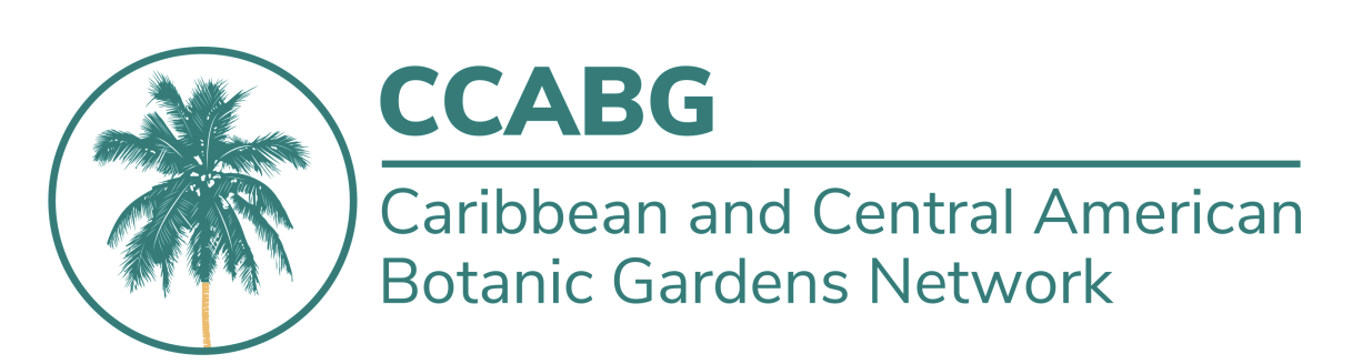 CCABG Logo