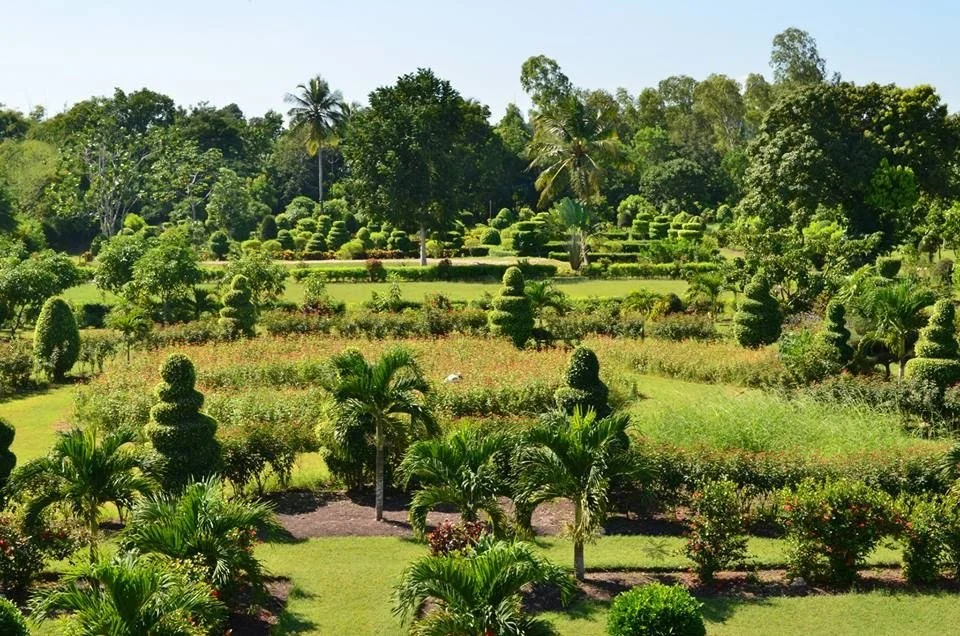A garden in the Caribbean with topiaries and palms and grasses
