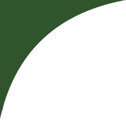 A stylized crescent shape with green on top and black on the bottom, resembling a partial circle or moon.