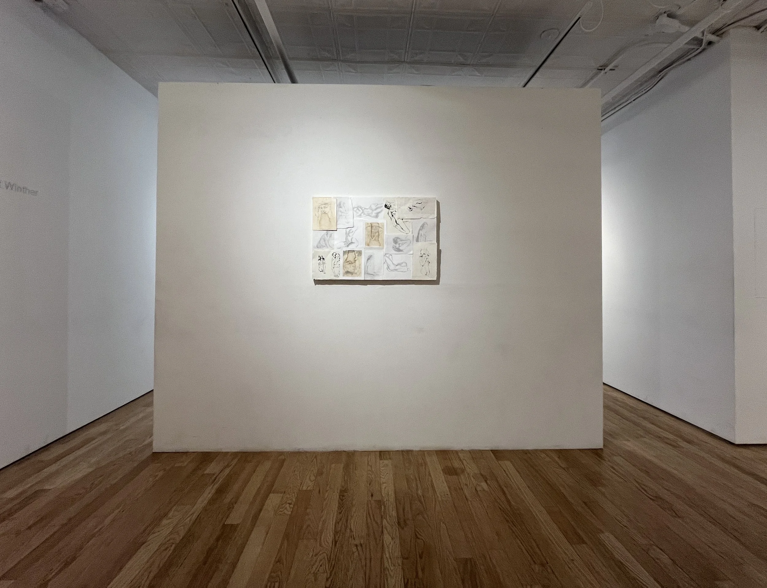 Lot Winther - Traces, Artifact Projects, New York City