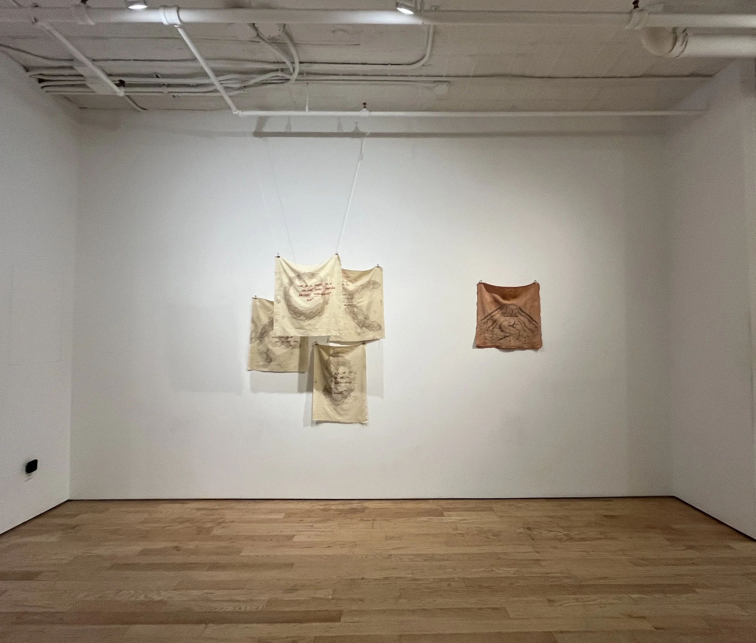 Lot Winther - Traces, Artifact Projects, New York City