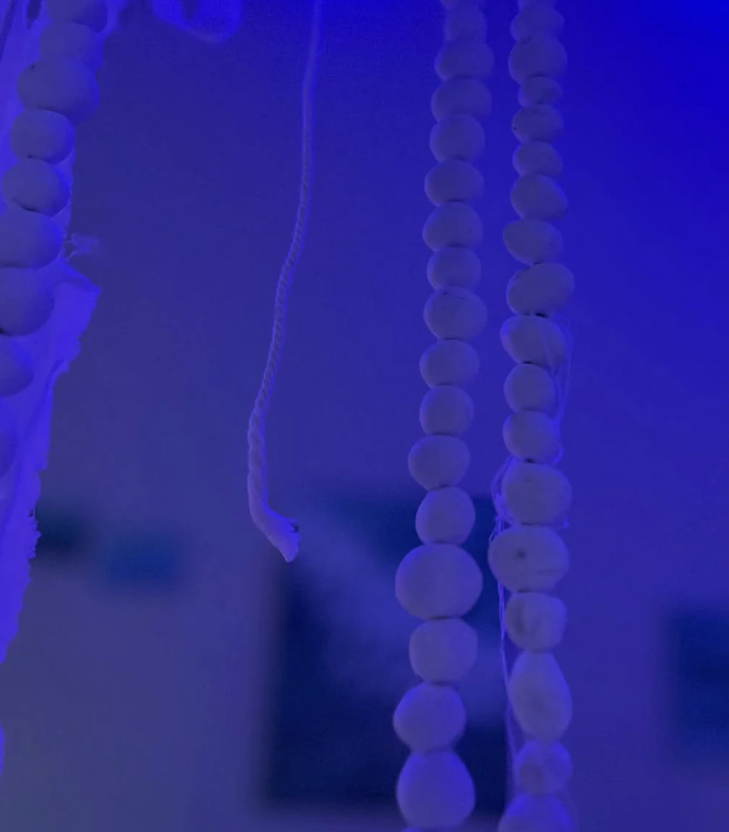 Screenshot 2026-01-28 at 15.32.23.png