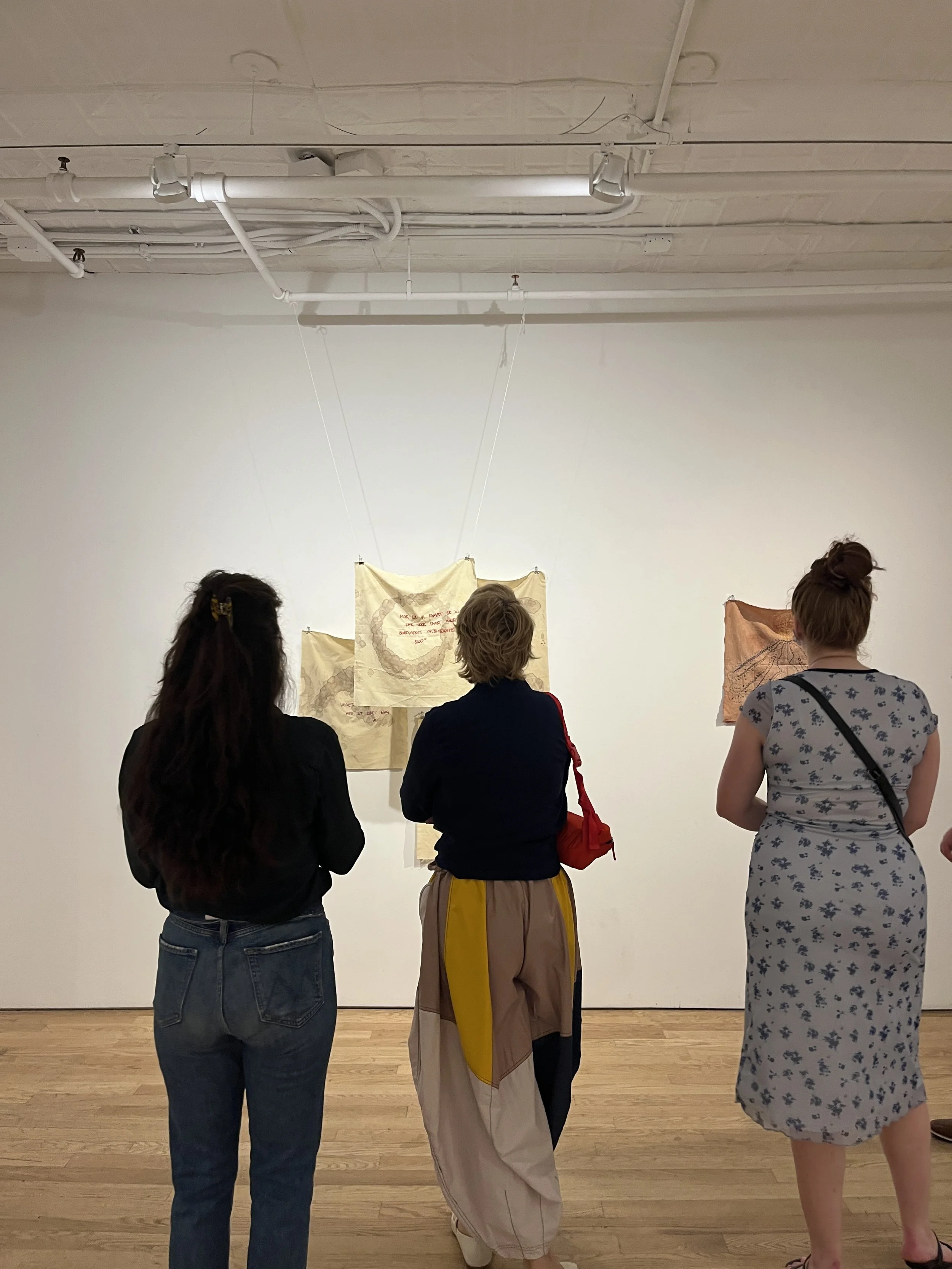Lot Winther - Traces, Artifact Projects, New York City