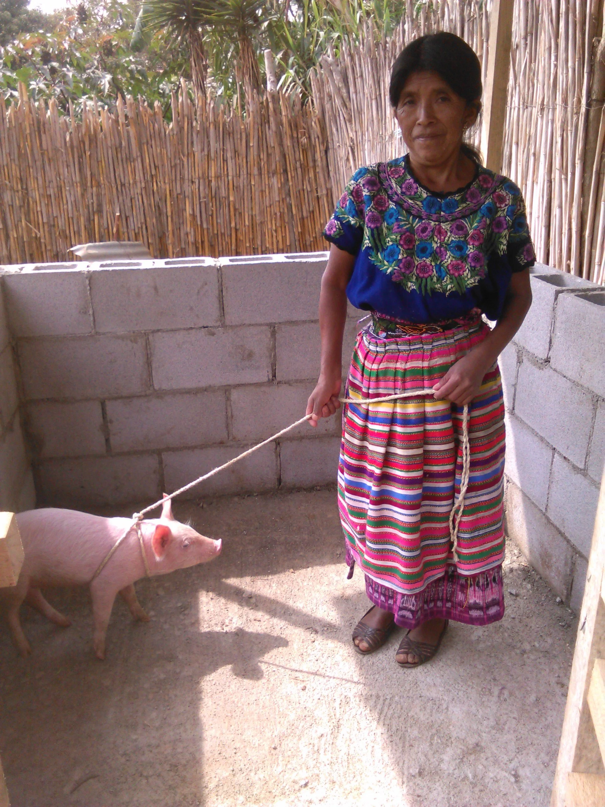 A woman wearing traditional colorful clothing stands in a small, enclosed outdoor space holding a leash attached to a pink piglet. The background features a bamboo fence and some tropical plants.