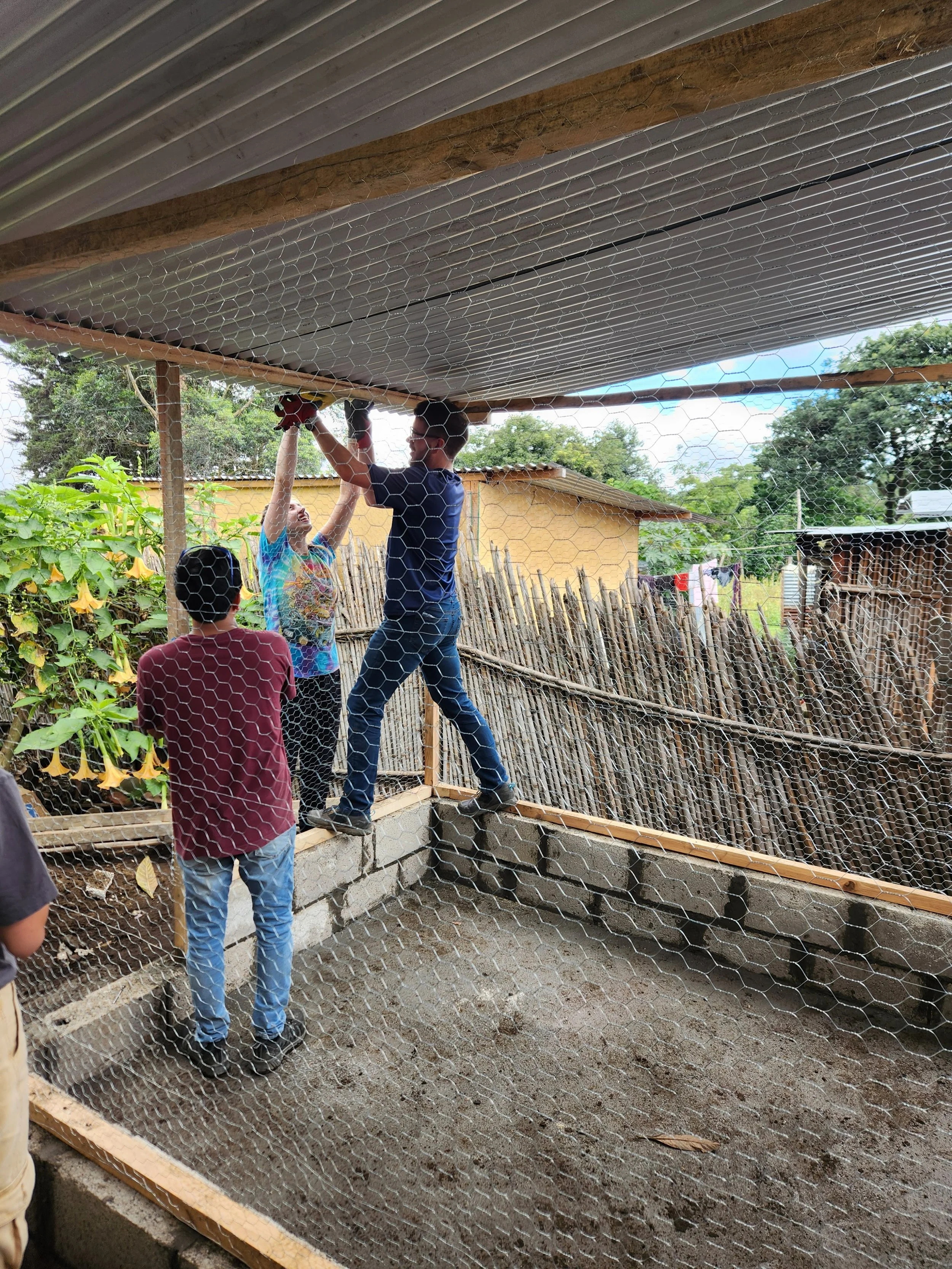 Three people working together to install chicken wire fencing in a backyard enclosure during daytime. One person on a ladder holds the wire in place, another hands it to them, and a third stands nearby observing.