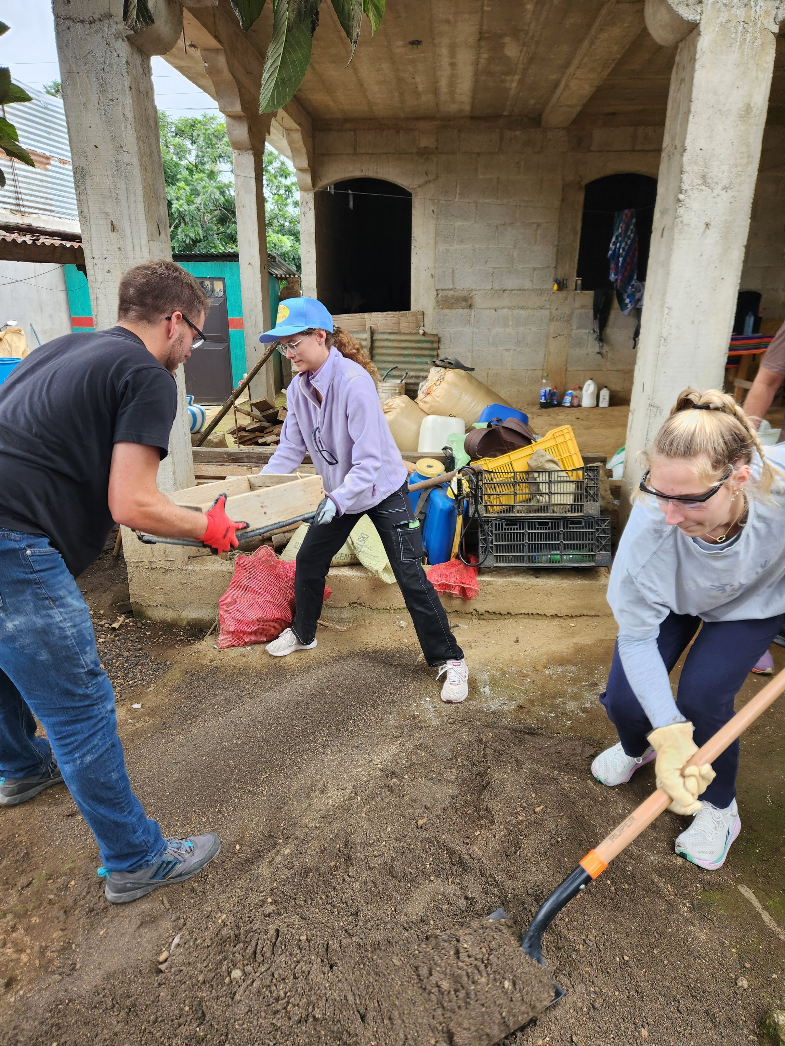 People working together on a construction or gardening project outside a building with concrete walls, using shovels and a wheelbarrow to move dirt or soil.