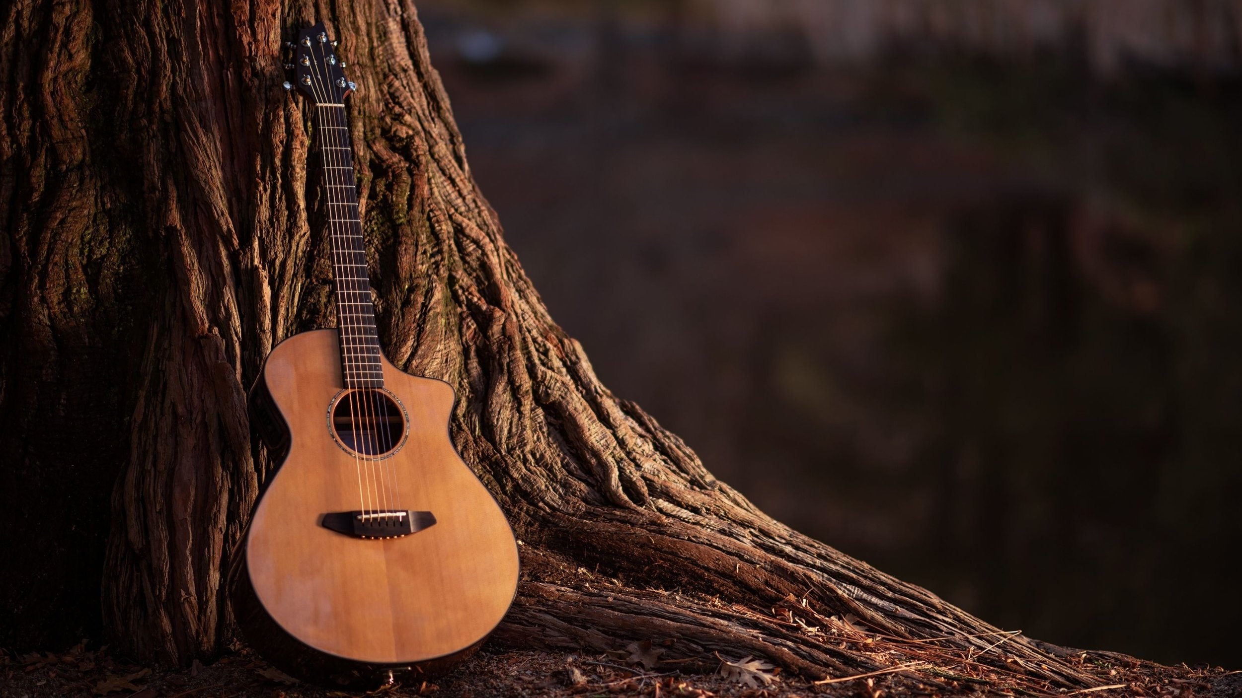 Getting It Together in the Country: Traffic, Led Zeppelin and Classic Albums Recorded in the Countryside