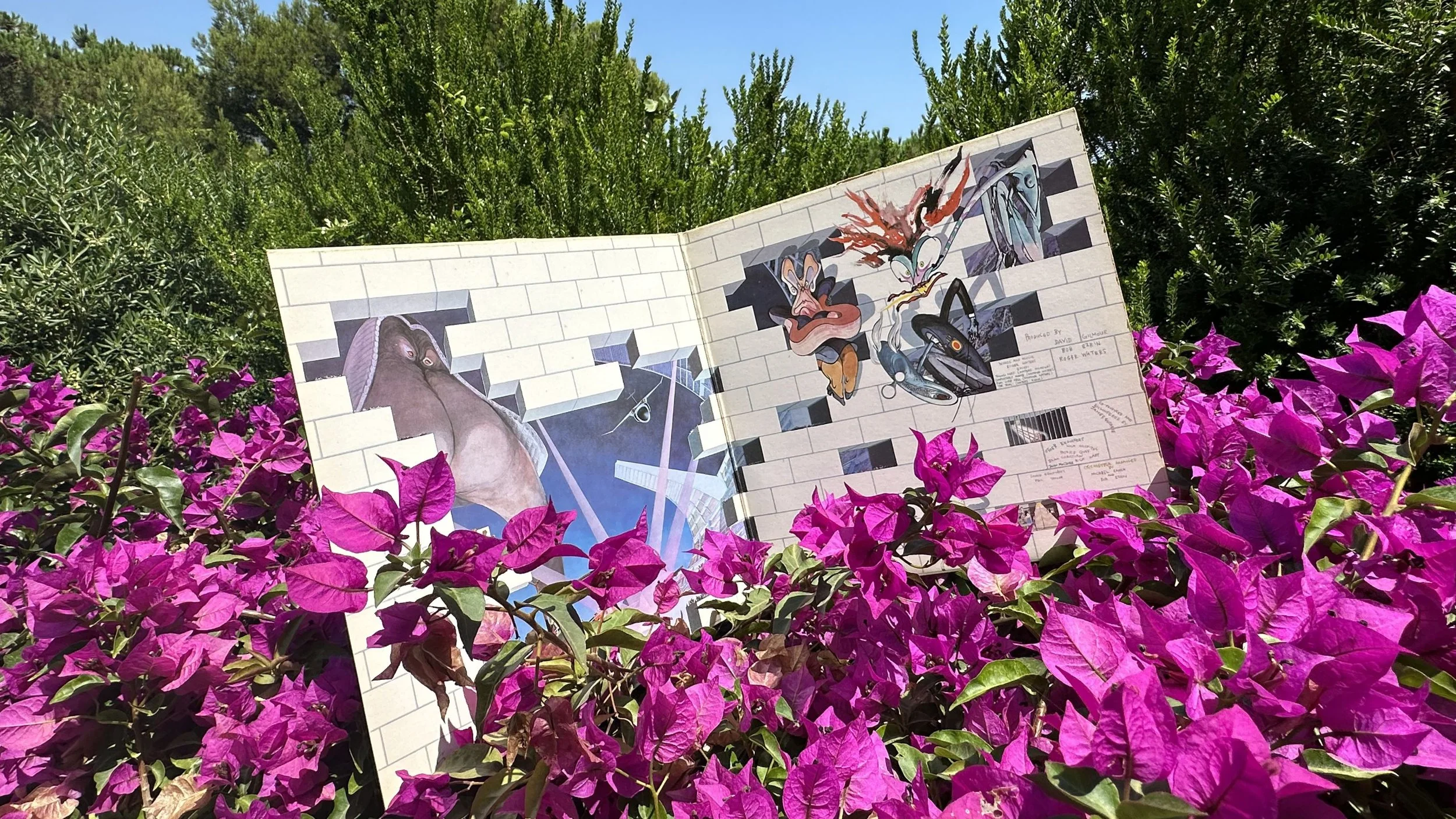 Classic Albums Recorded in the South of France