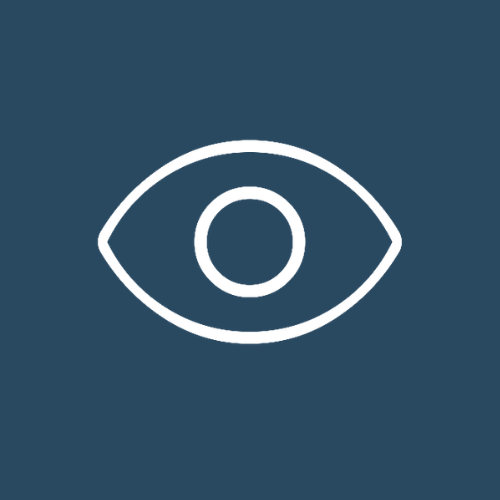 Icon of an eye