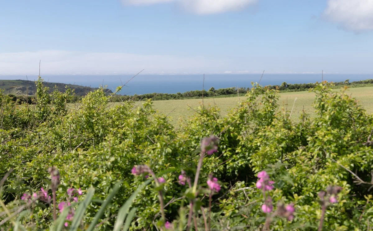 Salcombe decking view.jpg