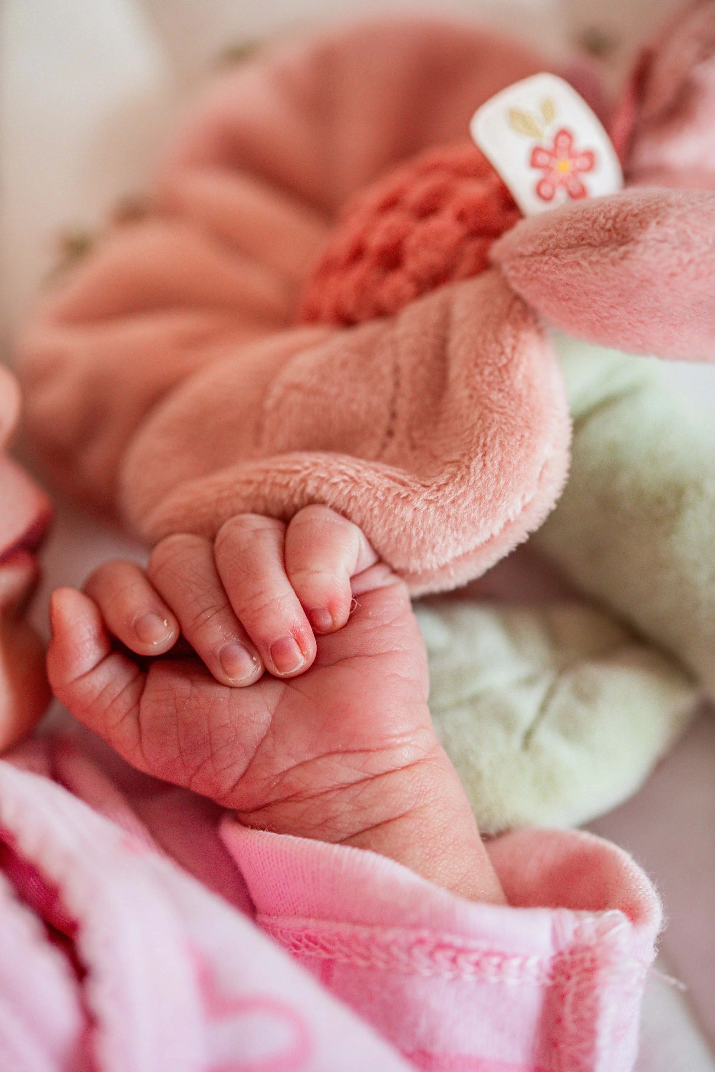 baby girl gentle hand