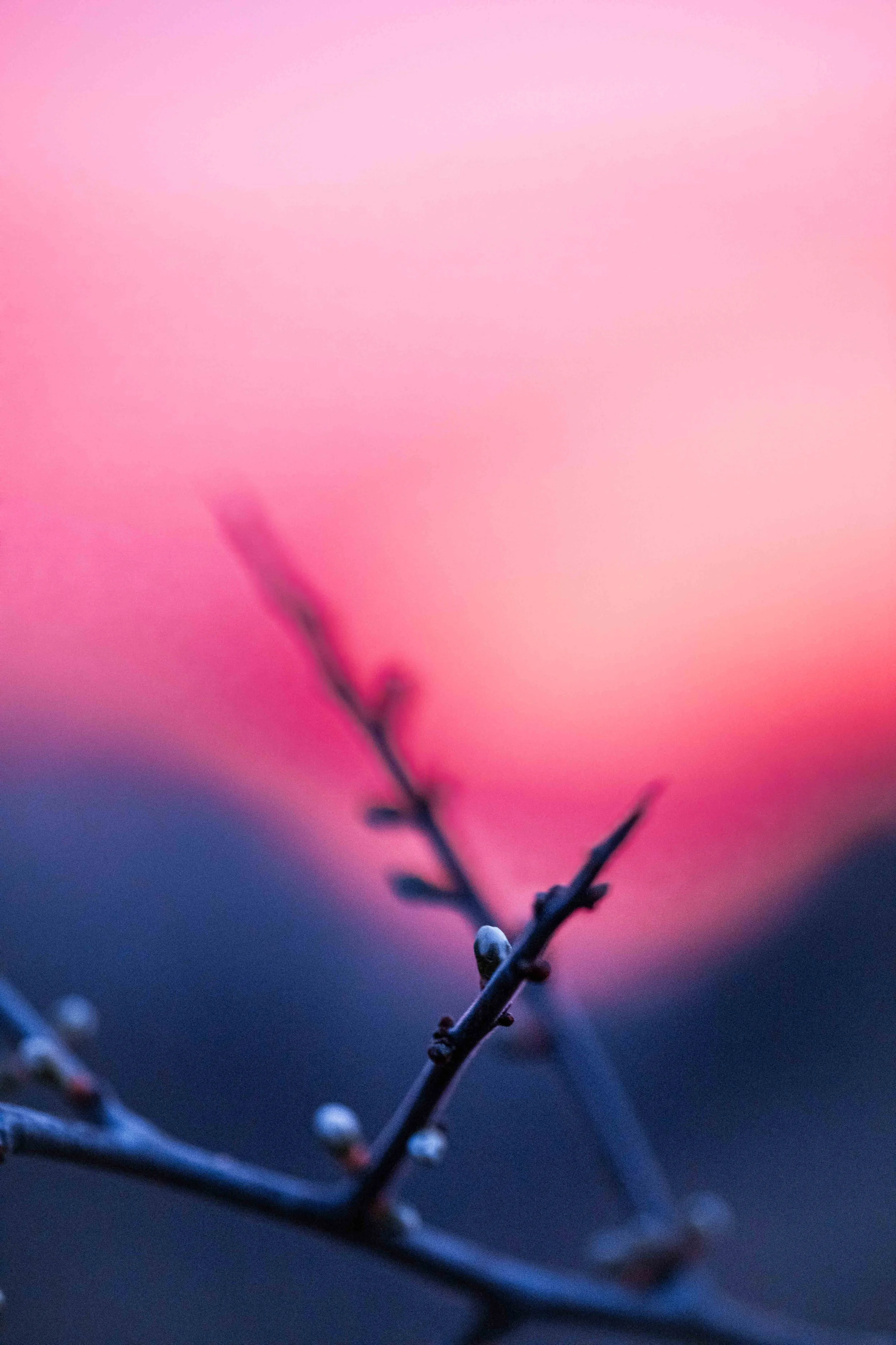 nature photography sunset photo