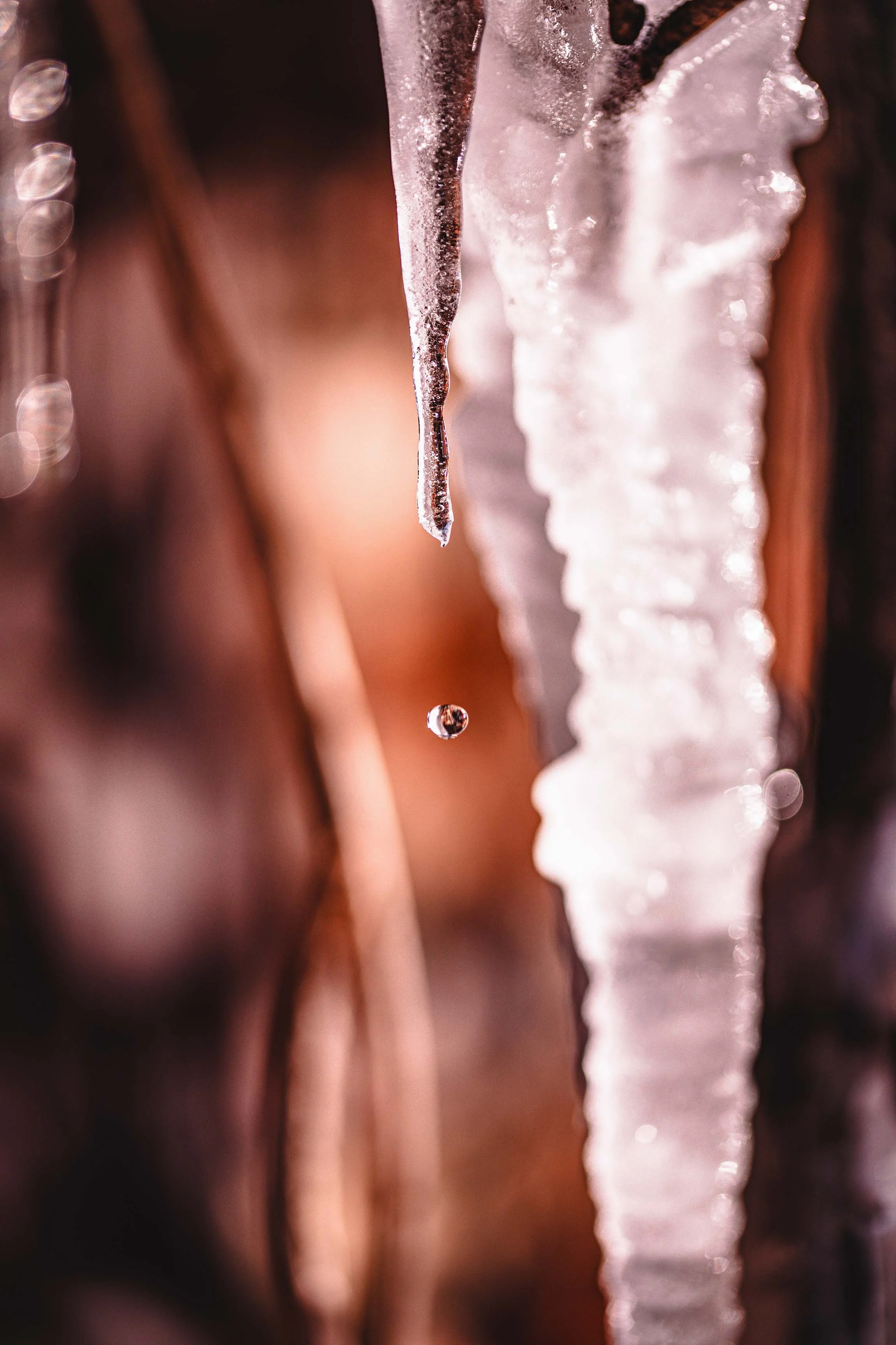 nature photography frozen drop 