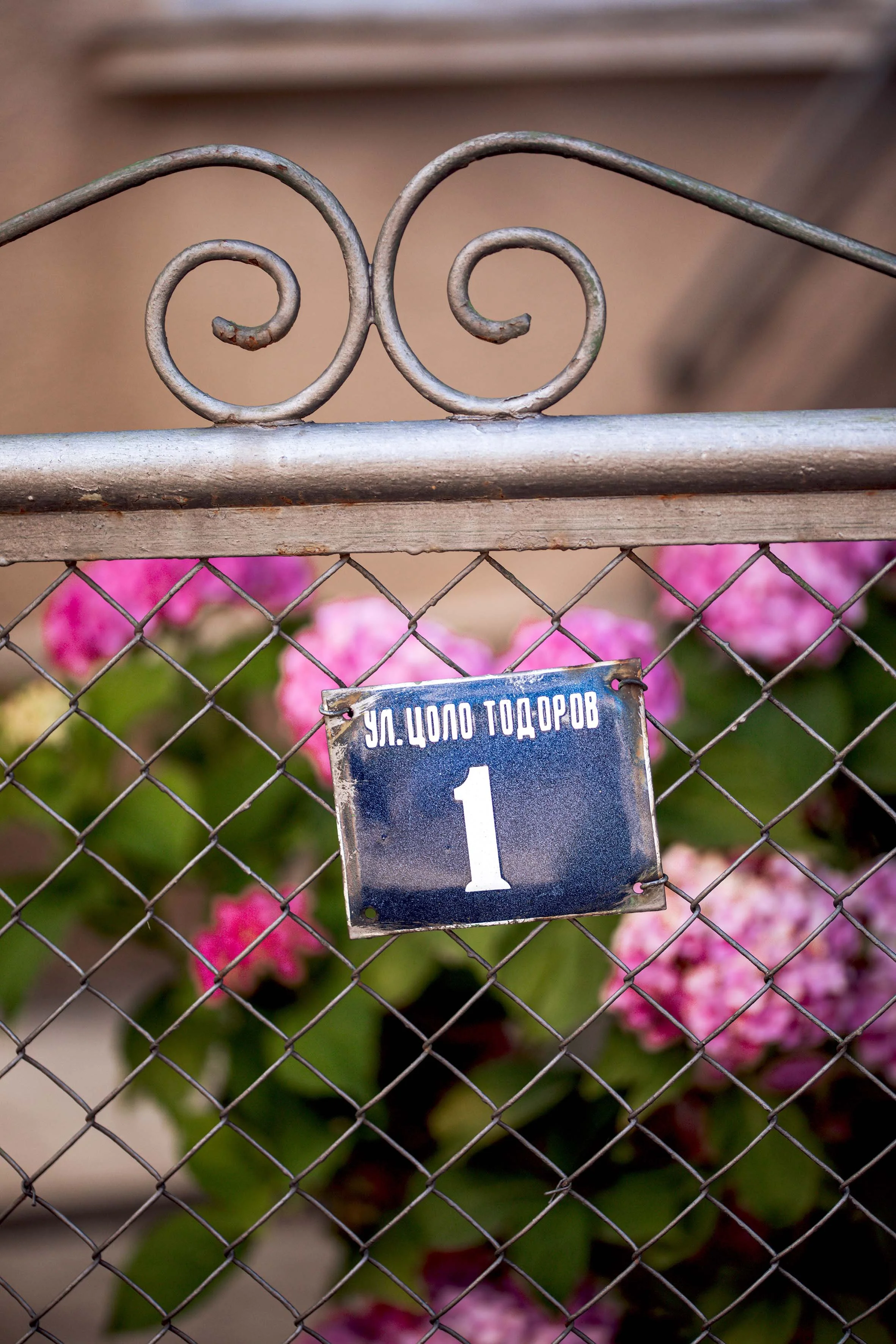 nature photography village life