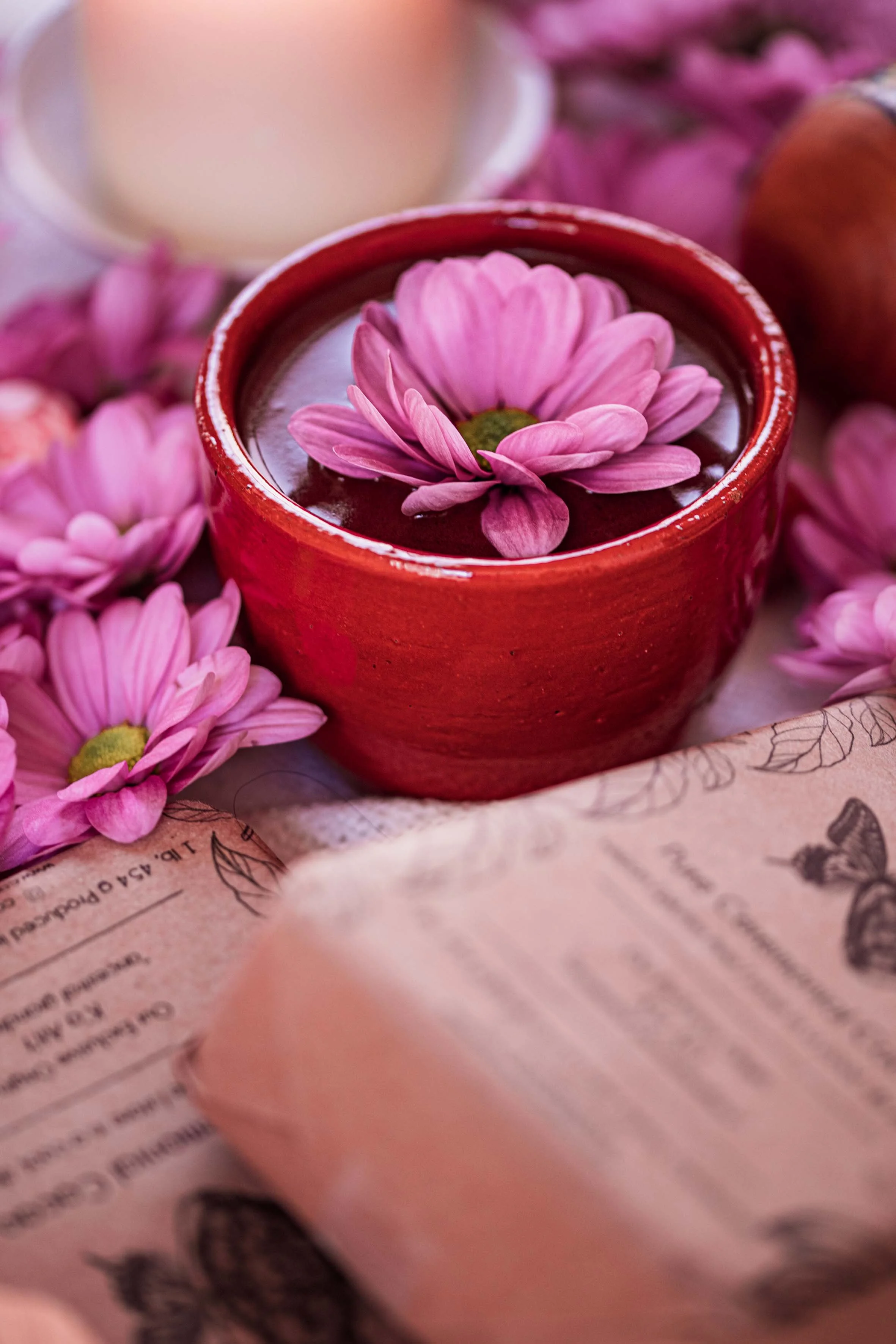 detail photography flowers and raw cocoa sacred ritual