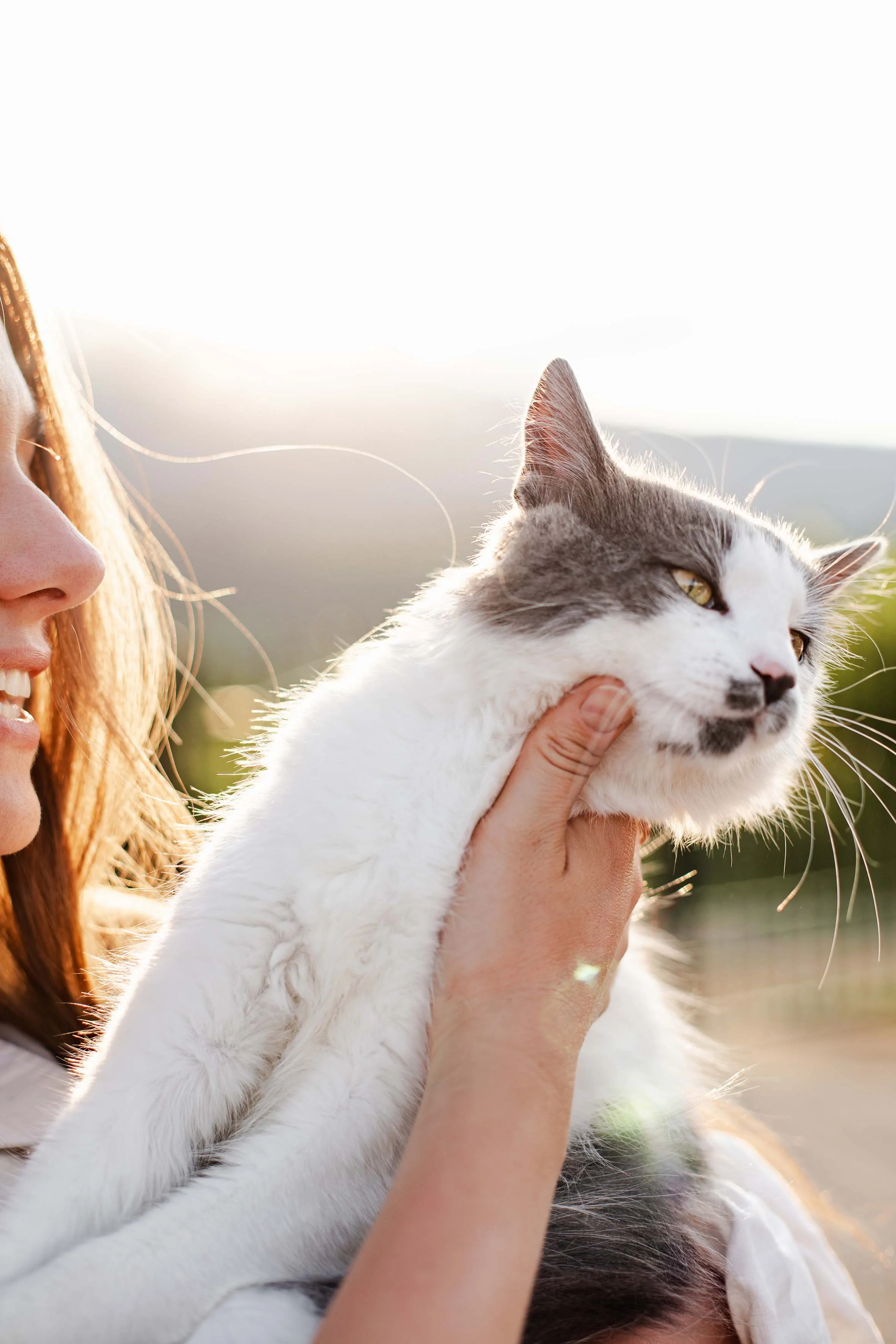 portrait of a cat and a girl with blue eyes