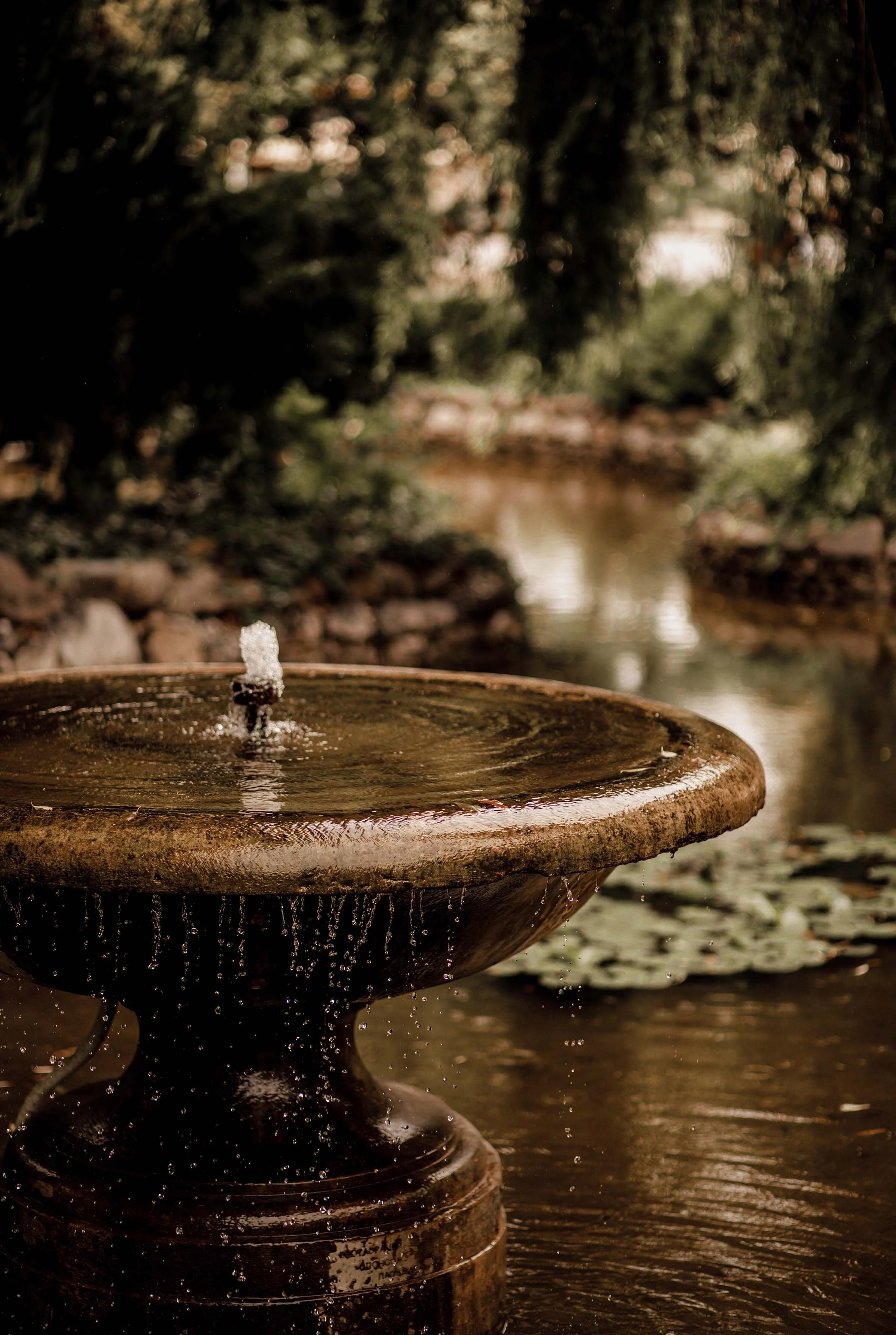 nature photography fountain of youth