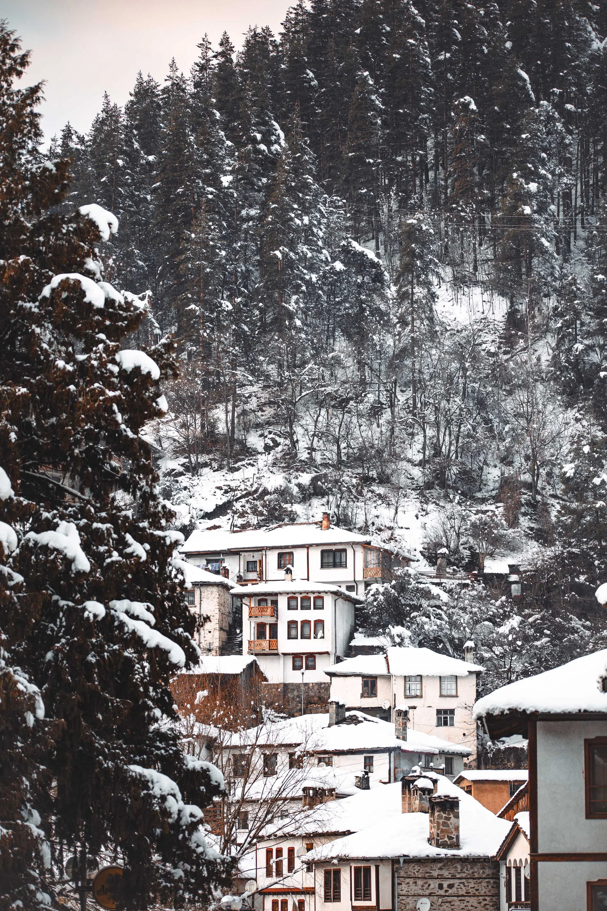 nature photography frozen winter wonderland little village with houses