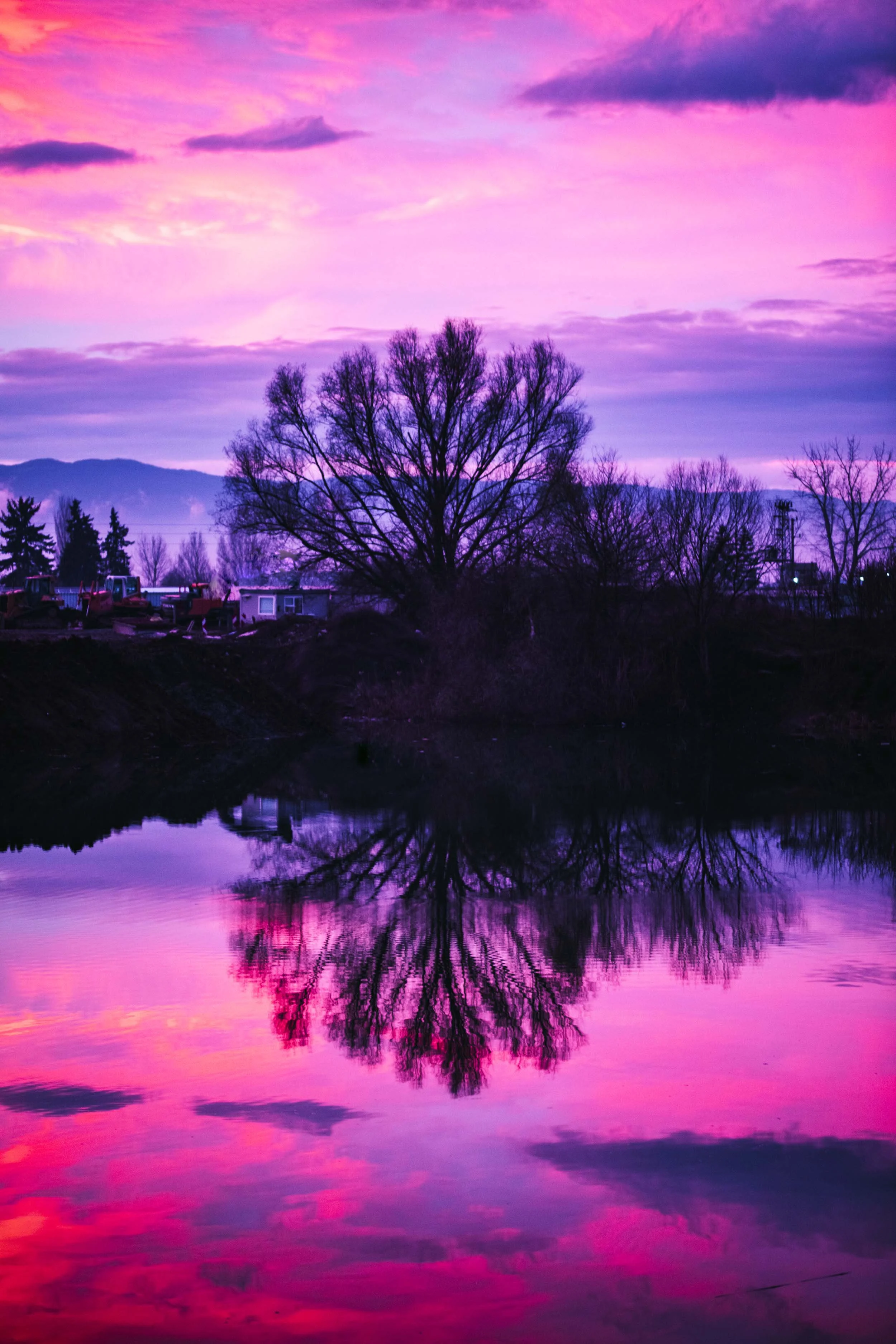 nature photography beautiful pink sunset with a tree