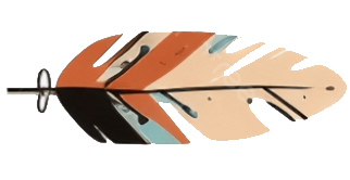 colourful shamanic feather