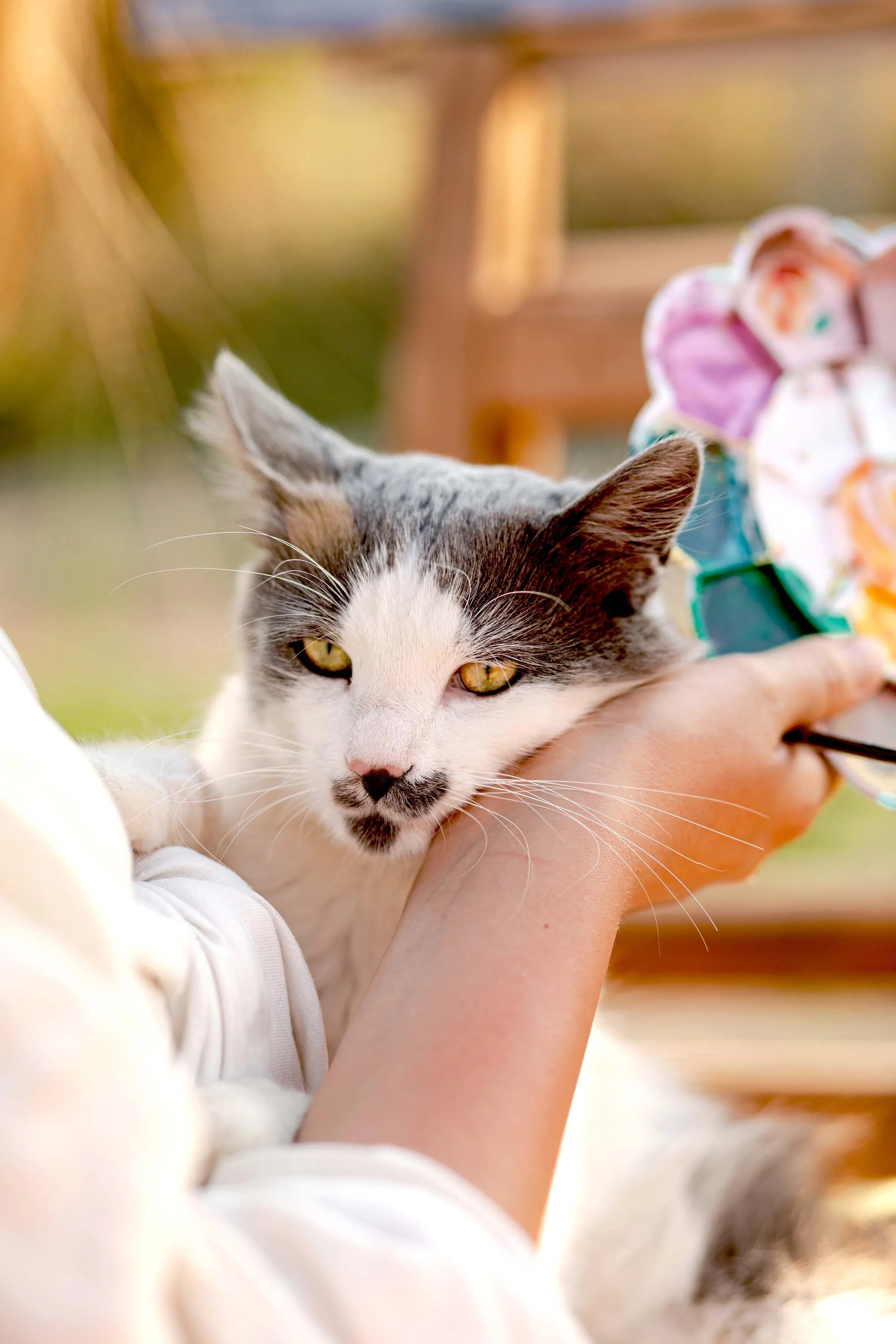 portrait of a cat and a painter