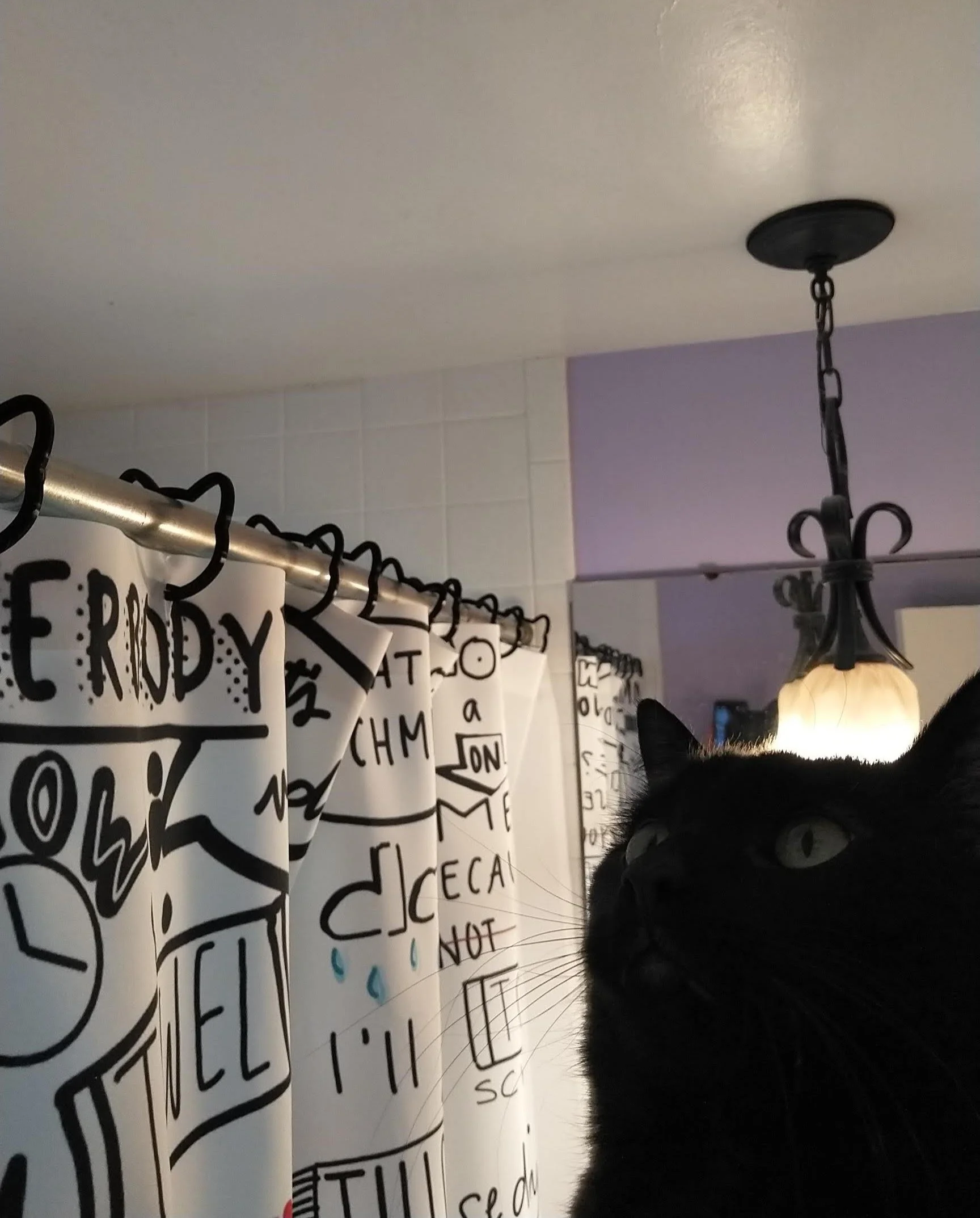 Black cat with green eyes near a ceiling light fixture and a black and white printed shower curtain in a bathroom.