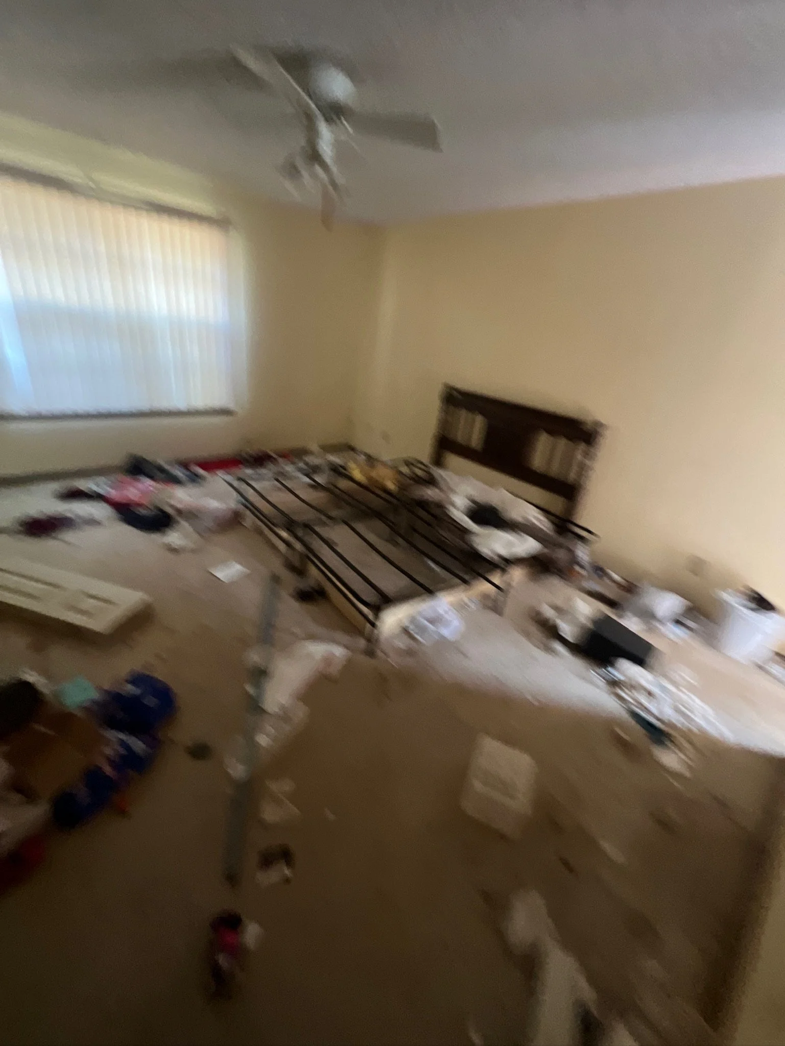 DJI_20230927_131714_438 2.JPG