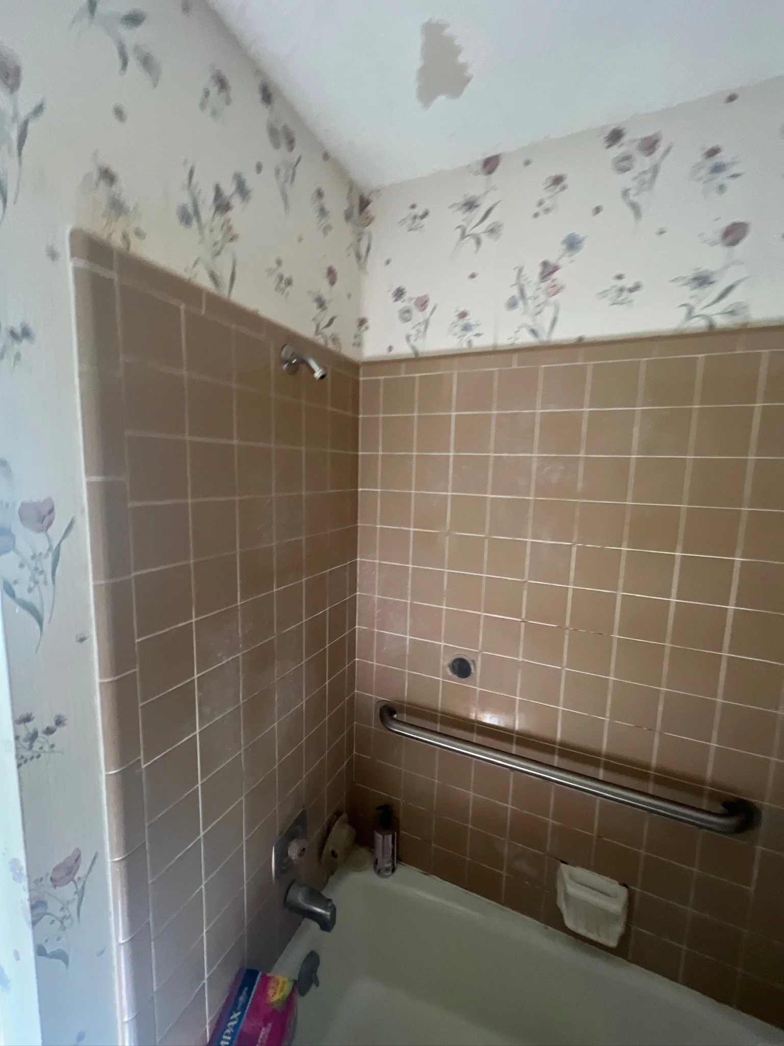 DJI_20230927_131719_567 2.JPG