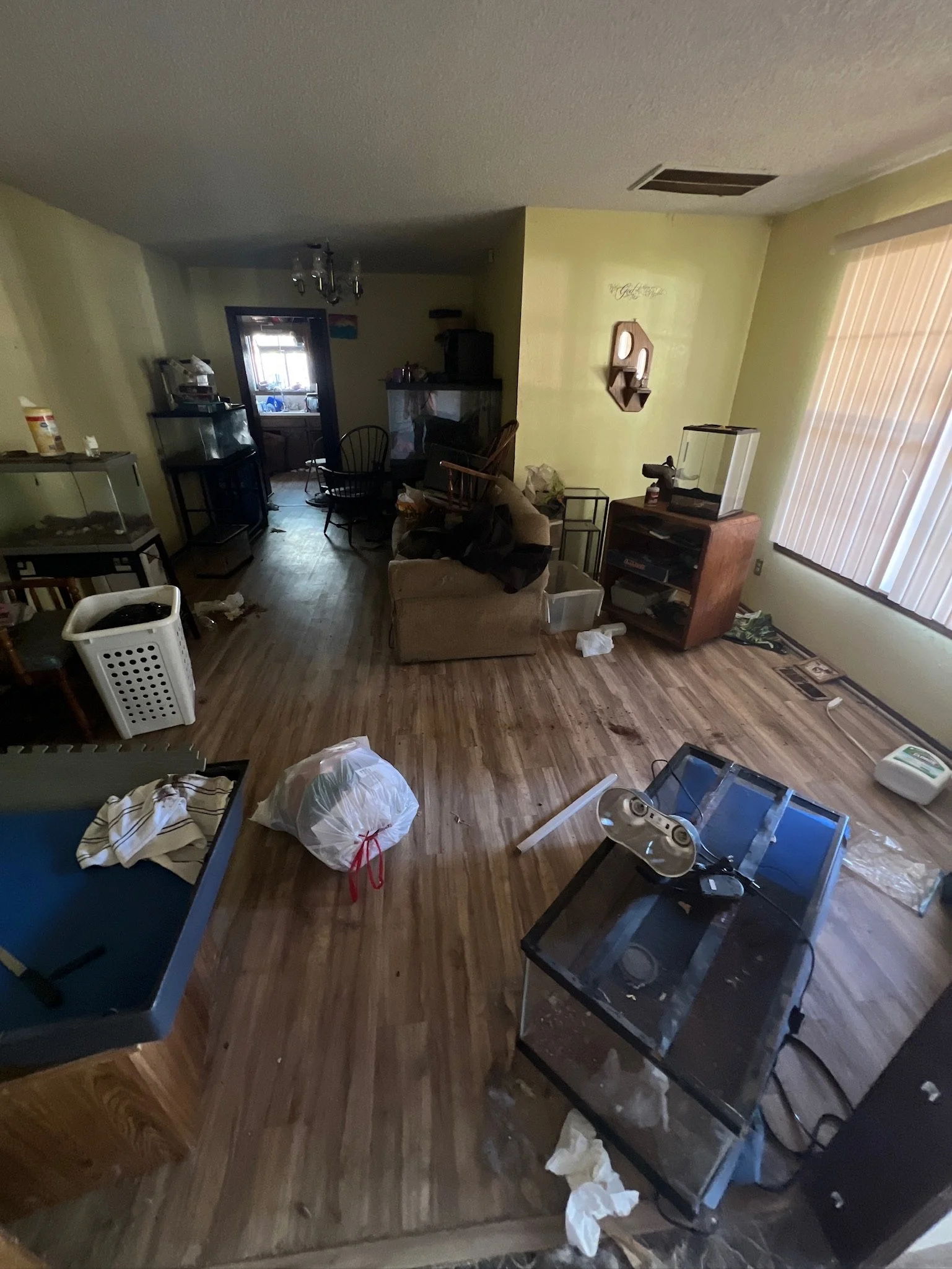 DJI_20230927_131748_577 2.JPG