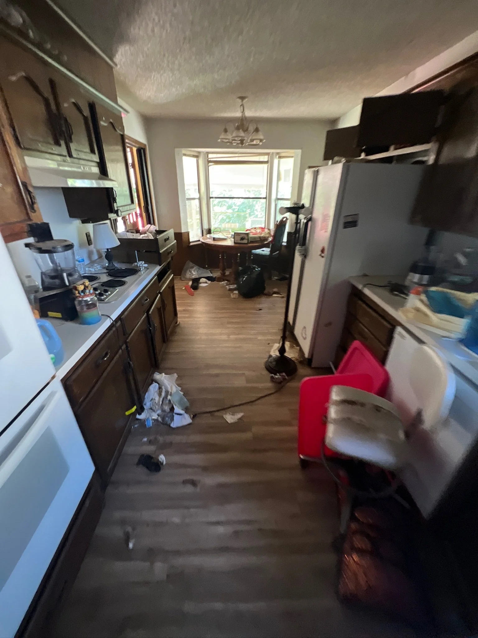 DJI_20230927_131802_137 2.JPG