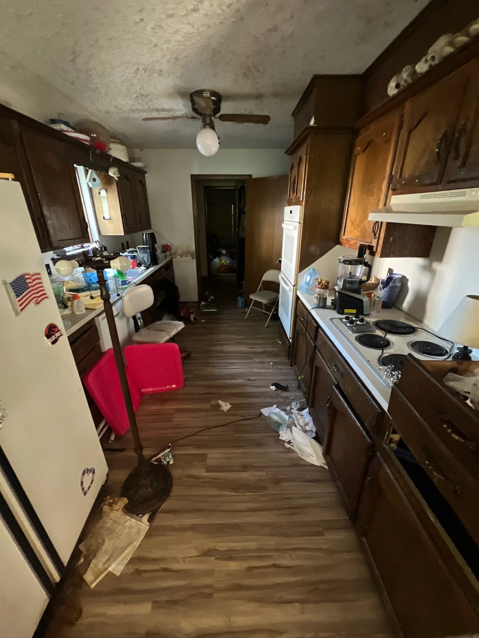 DJI_20230927_131807_504 2.JPG