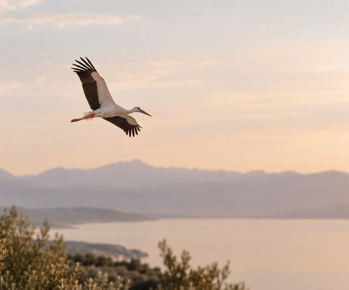 A stork flying in the sky during sunset with mountains and water in the background, representing the want for a child, either naturally pregnancy, through treatment options, or adoption or surrogacy