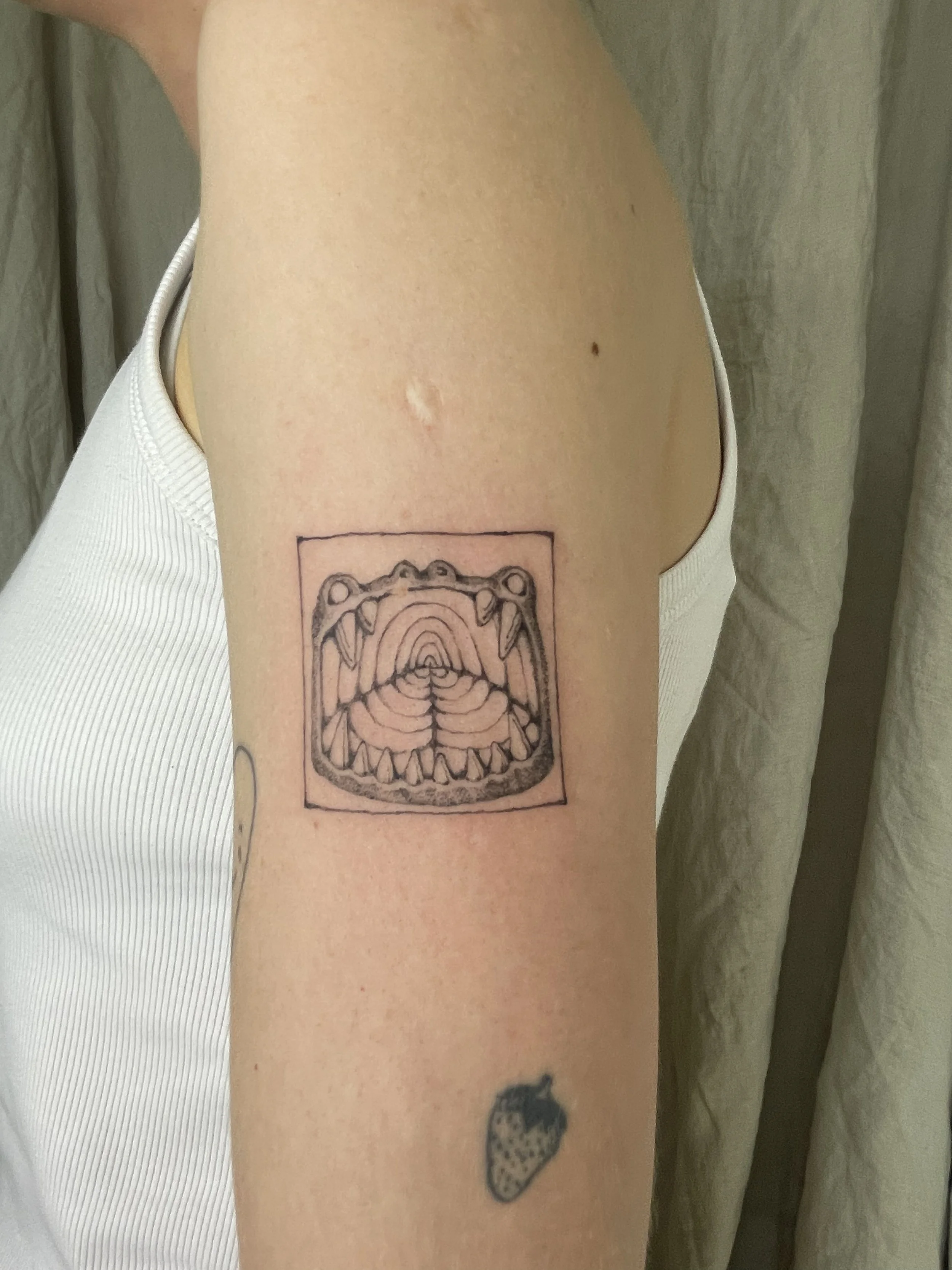 IMG_2875 (1).jpeg