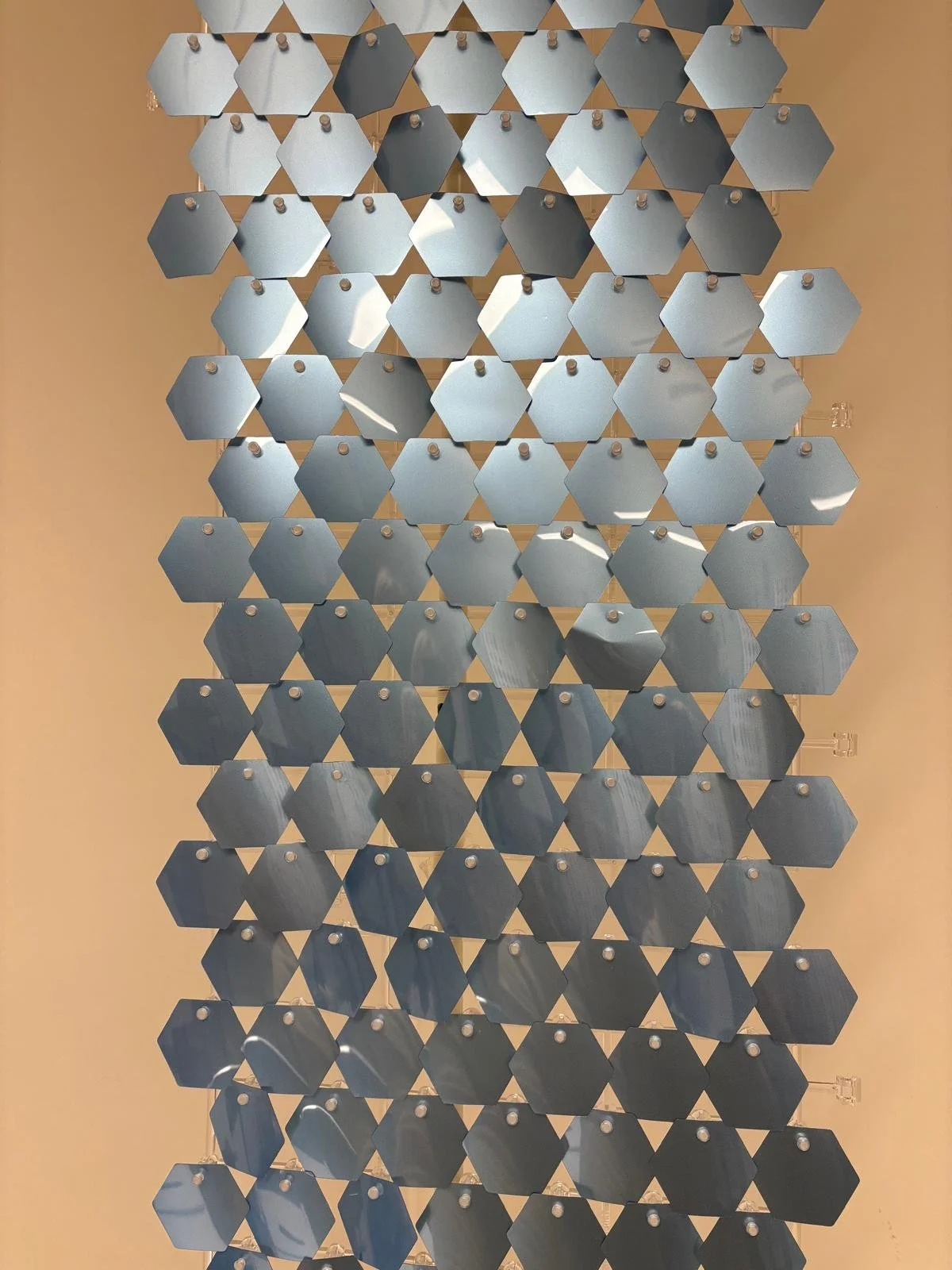 PHOTO-2026-01-08-17-24-15 8.jpg