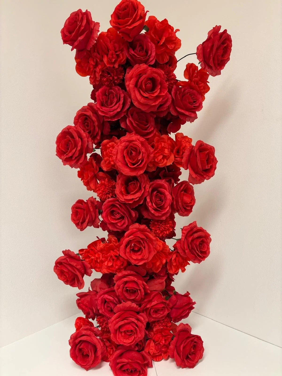 PHOTO-2026-01-08-17-24-15 10.jpg