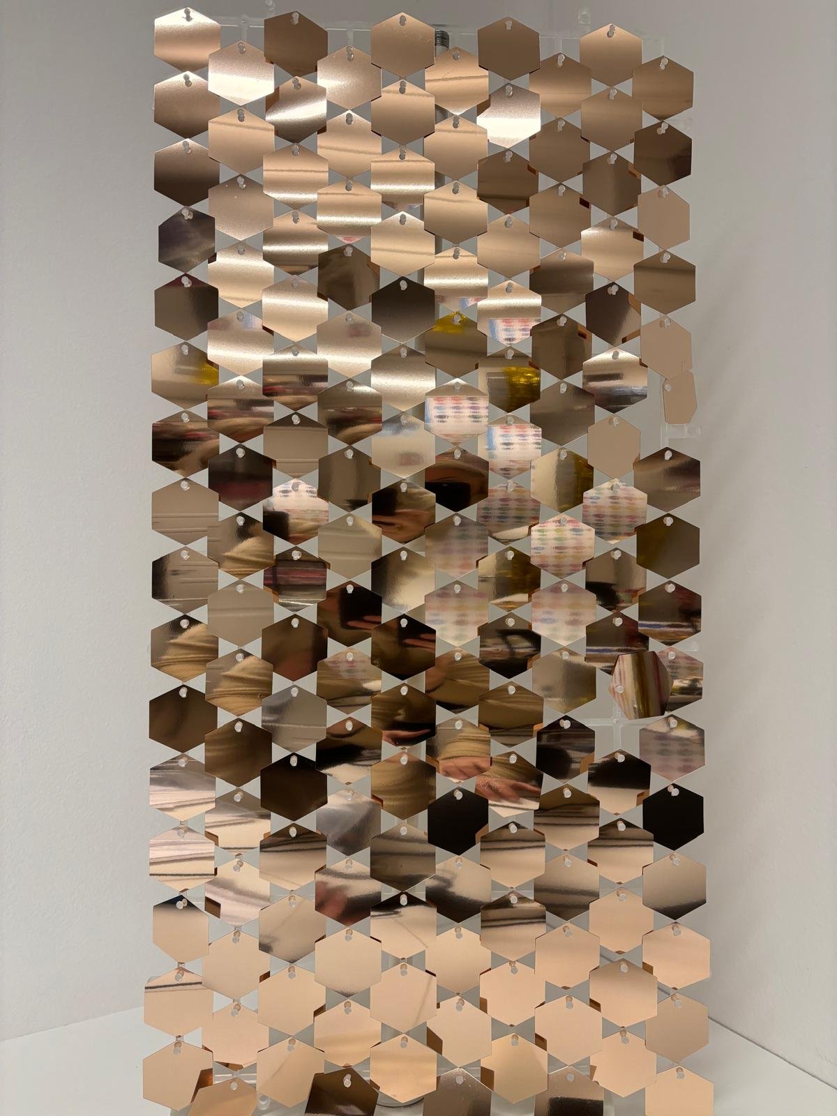 PHOTO-2026-01-08-17-24-15 9.jpg