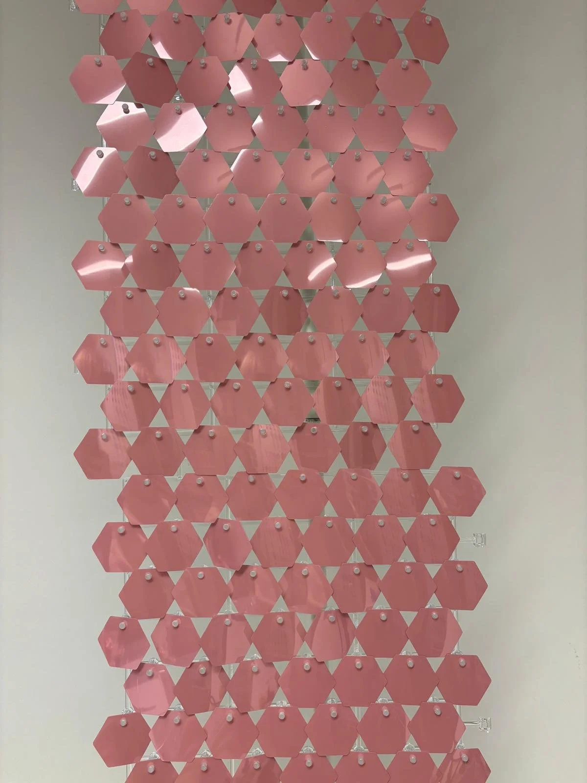 PHOTO-2026-01-08-17-24-15 7.jpg