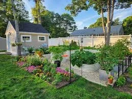 Shed and Metal Boxes.jpg