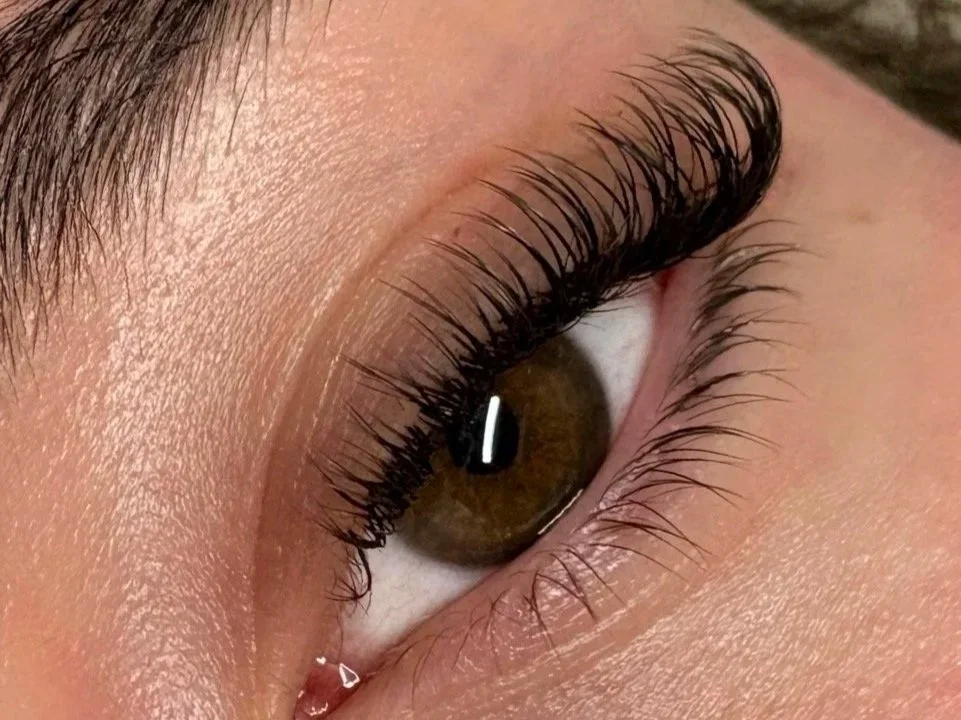 Close-up of a brown eye with long, dramatic eyelash extensions and groomed eyebrow