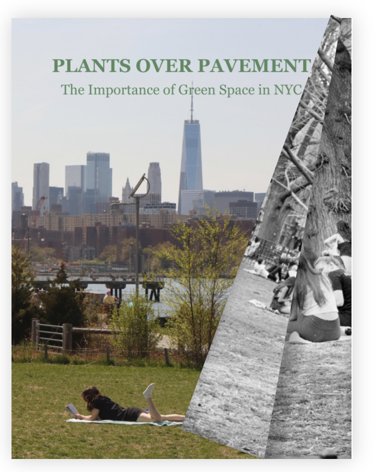 Capstone Project: The Importance of Greenspace in NYC